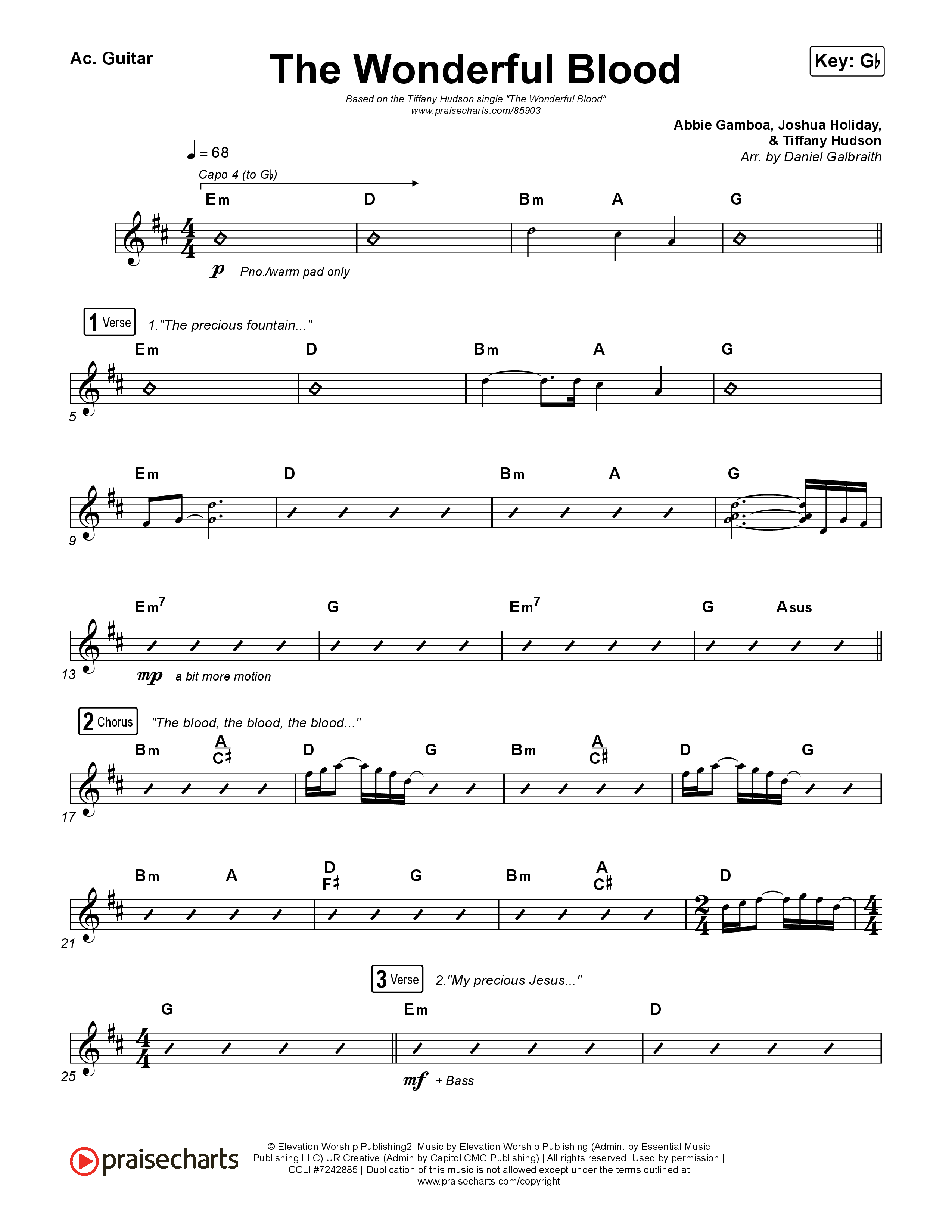 The Wonderful Blood Acoustic Guitar (Tiffany Hudson)