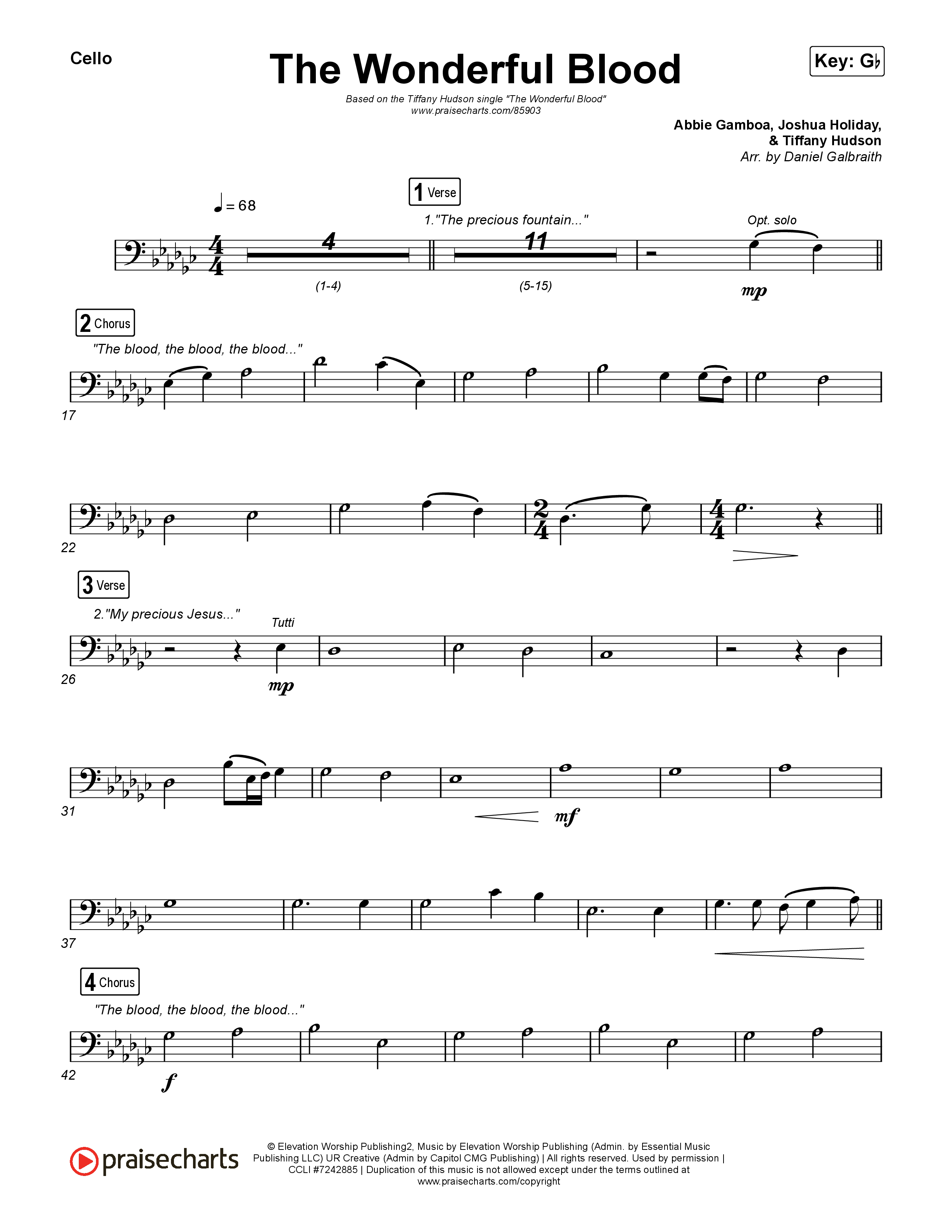 The Wonderful Blood Cello (Tiffany Hudson)