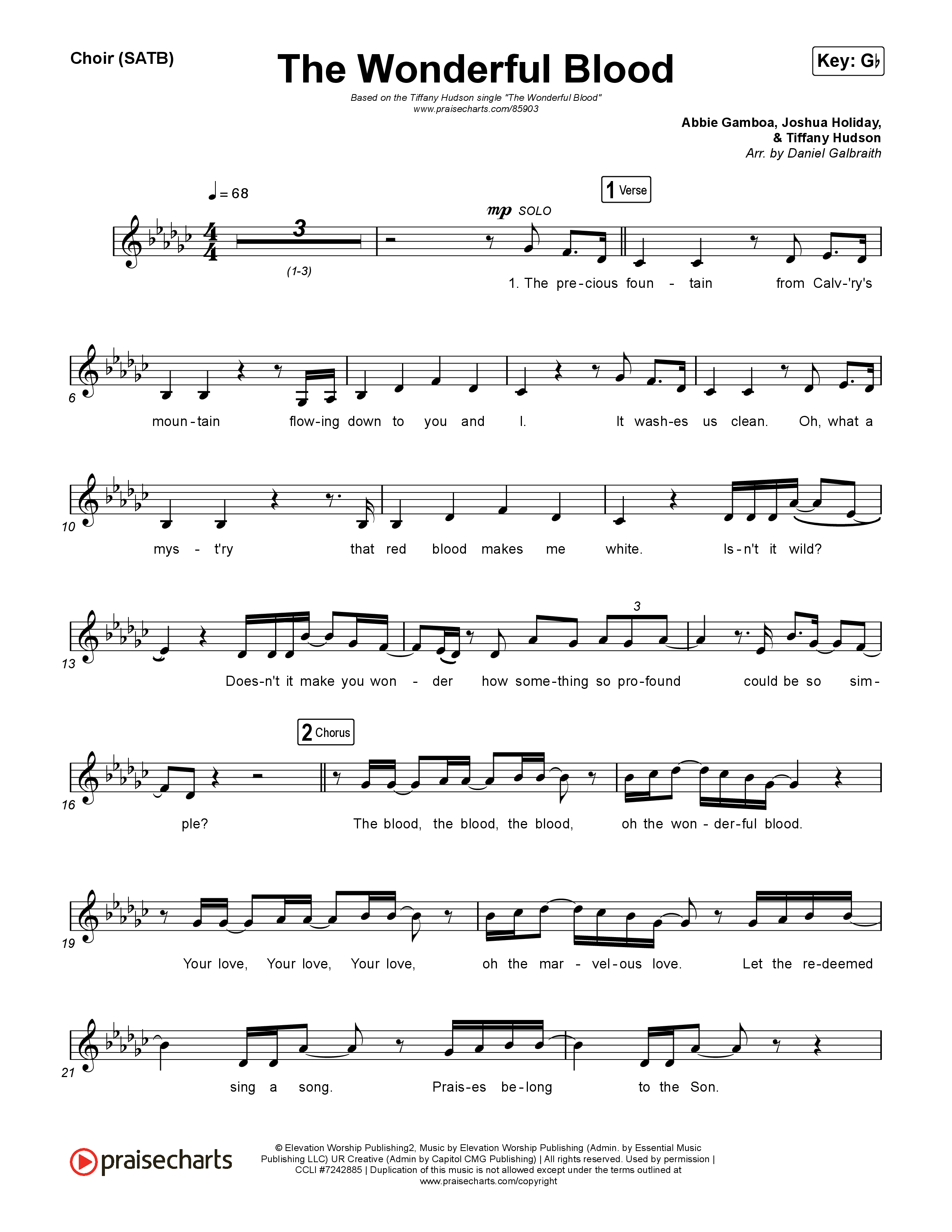 The Wonderful Blood Choir Sheet (SATB) (Tiffany Hudson)