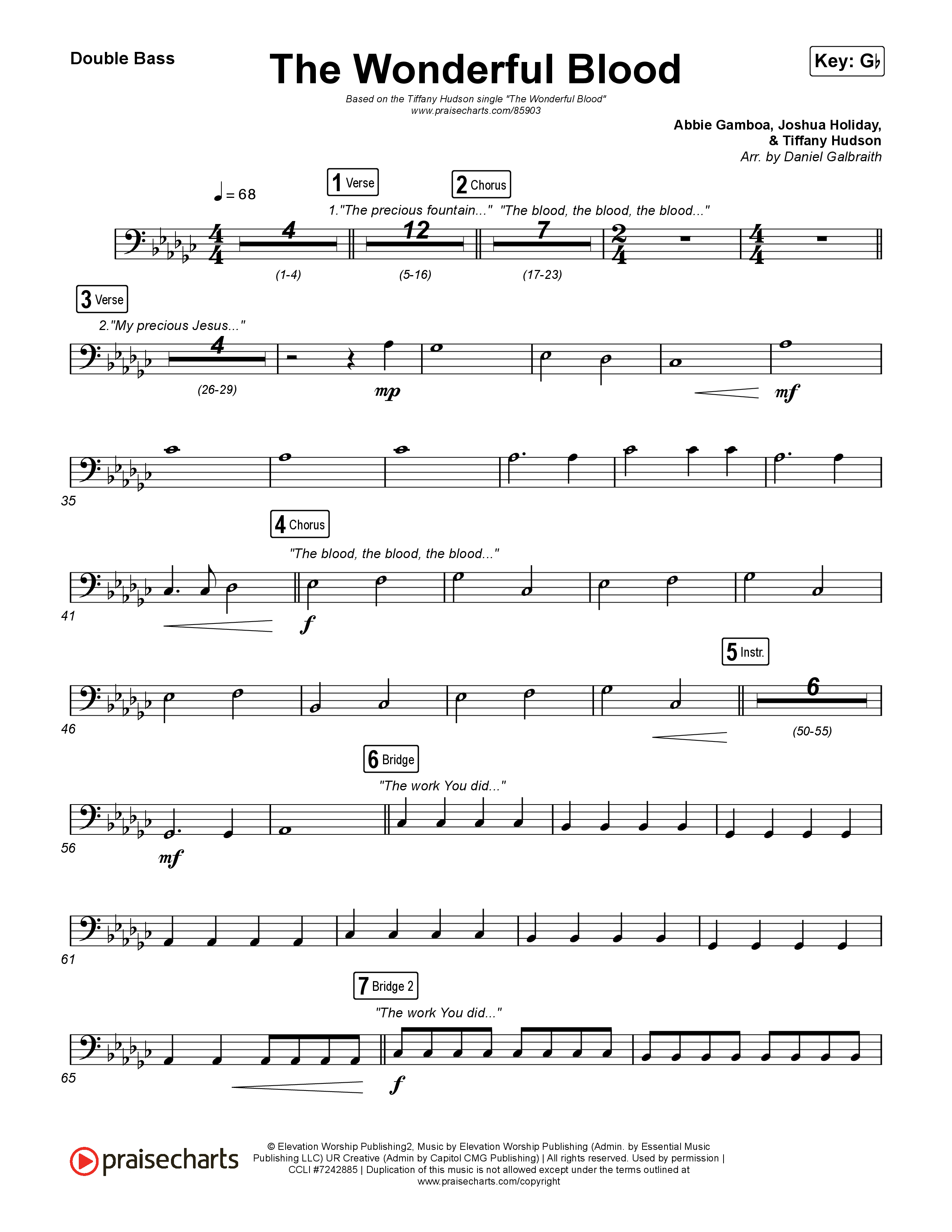 The Wonderful Blood String Bass (Tiffany Hudson)