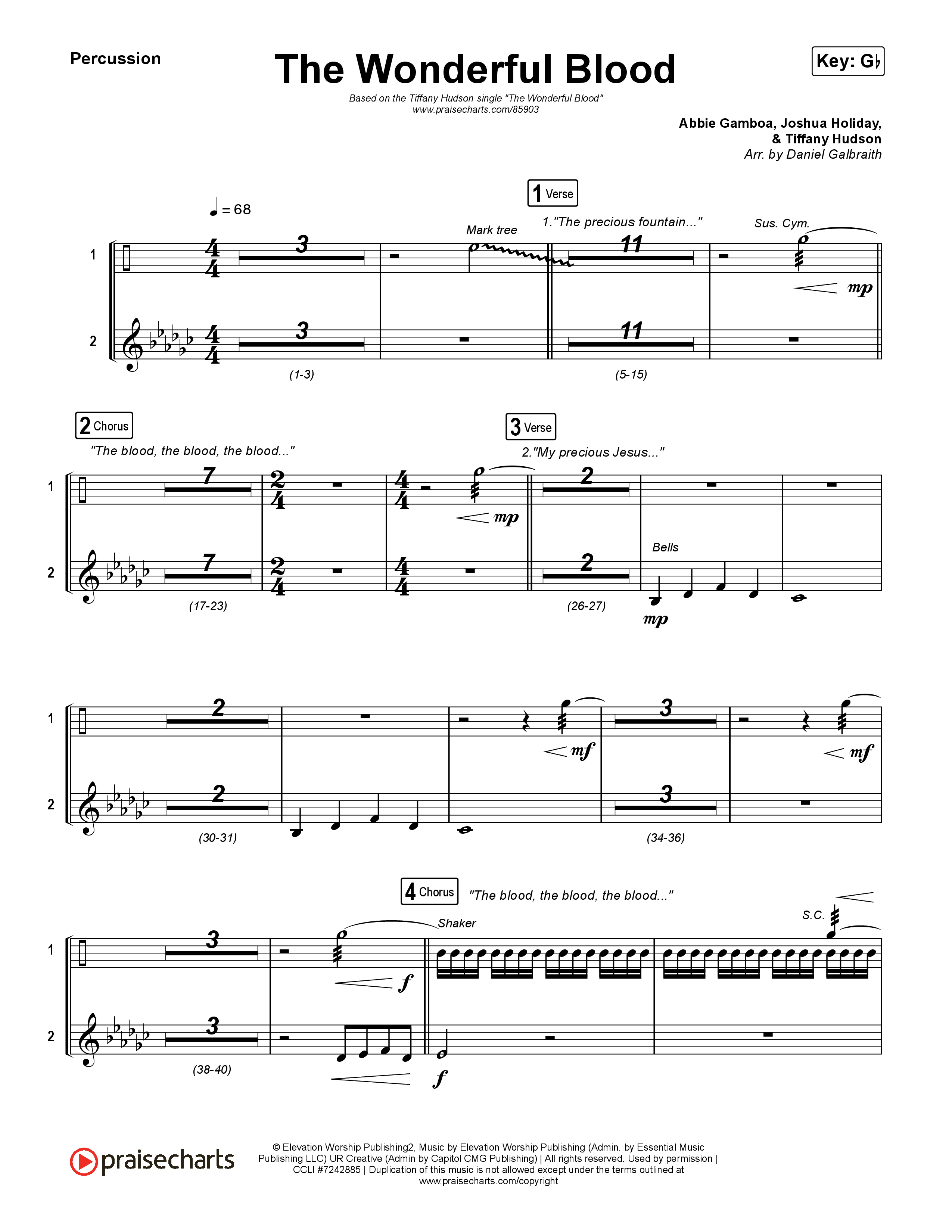 The Wonderful Blood Percussion (Tiffany Hudson)