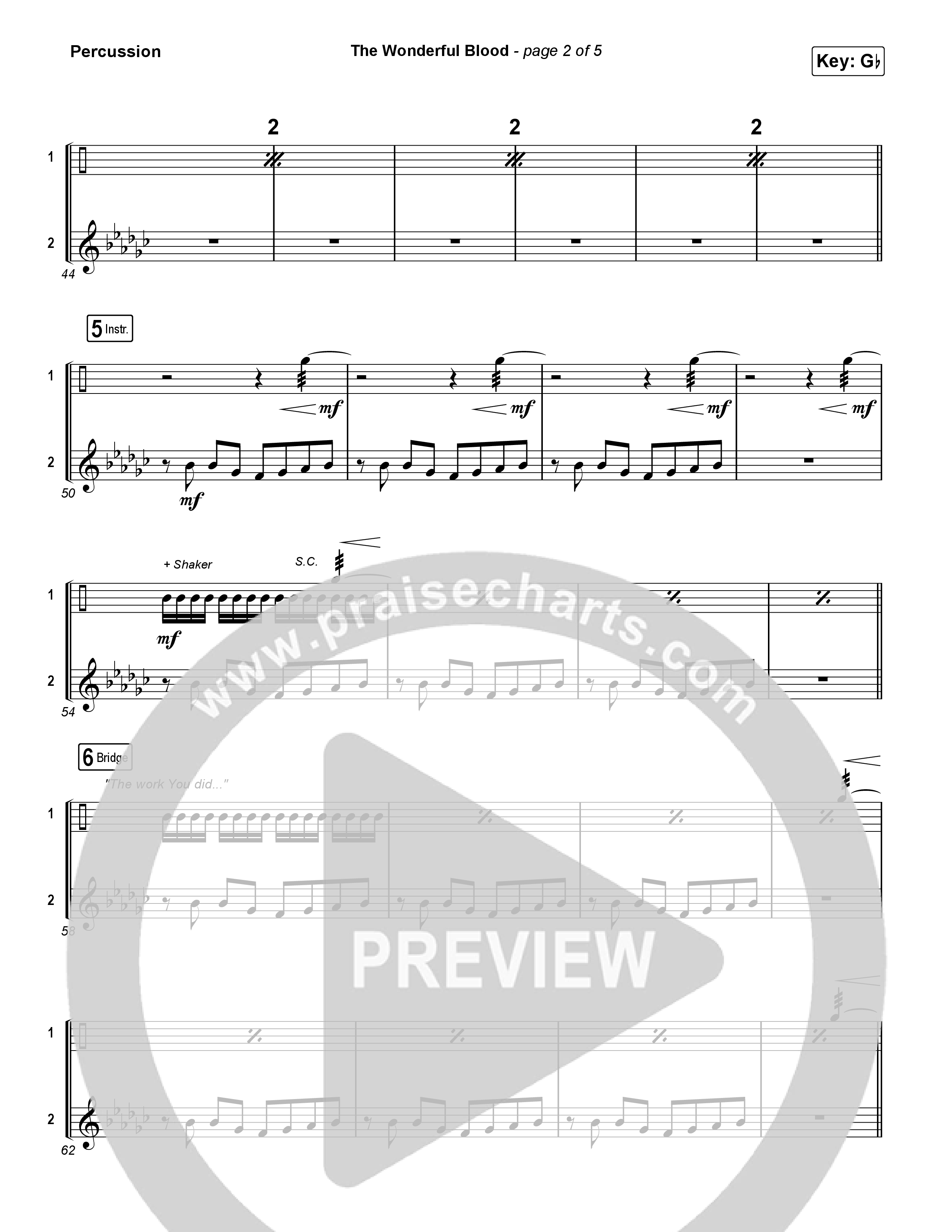 The Wonderful Blood Percussion (Tiffany Hudson)