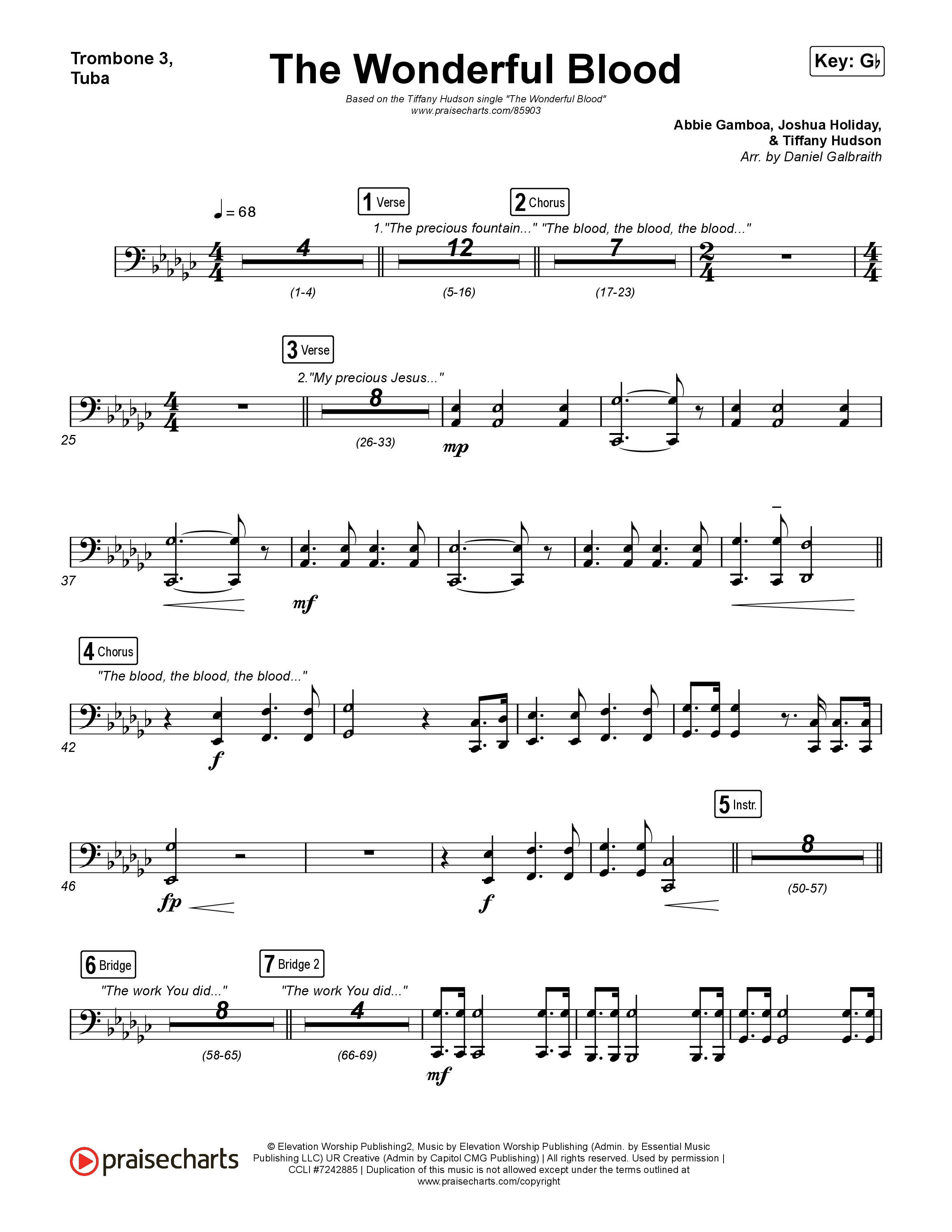 The Wonderful Blood Trombone 3/Tuba (Tiffany Hudson)