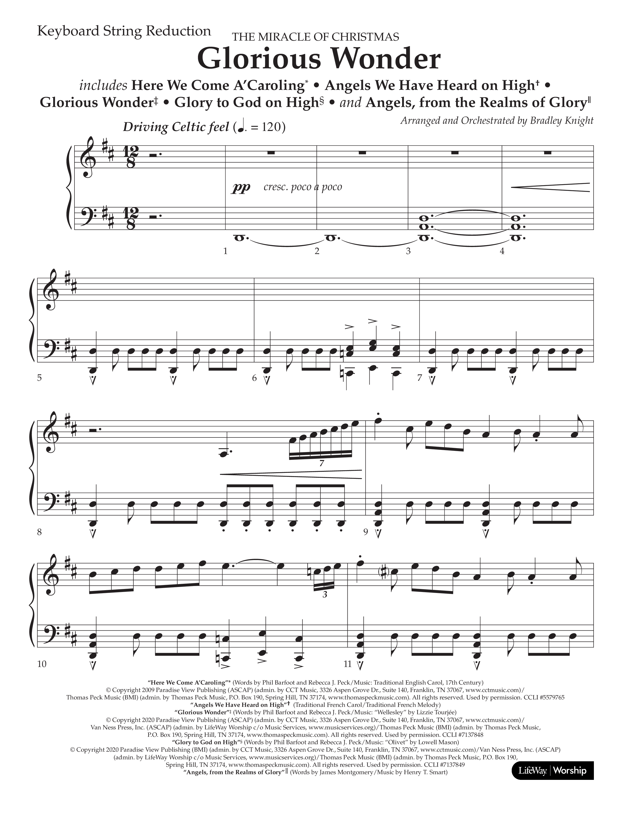 Glorious Wonder (Choral Anthem SATB) String Reduction (Lifeway Choral / Arr. Bradley Knight)