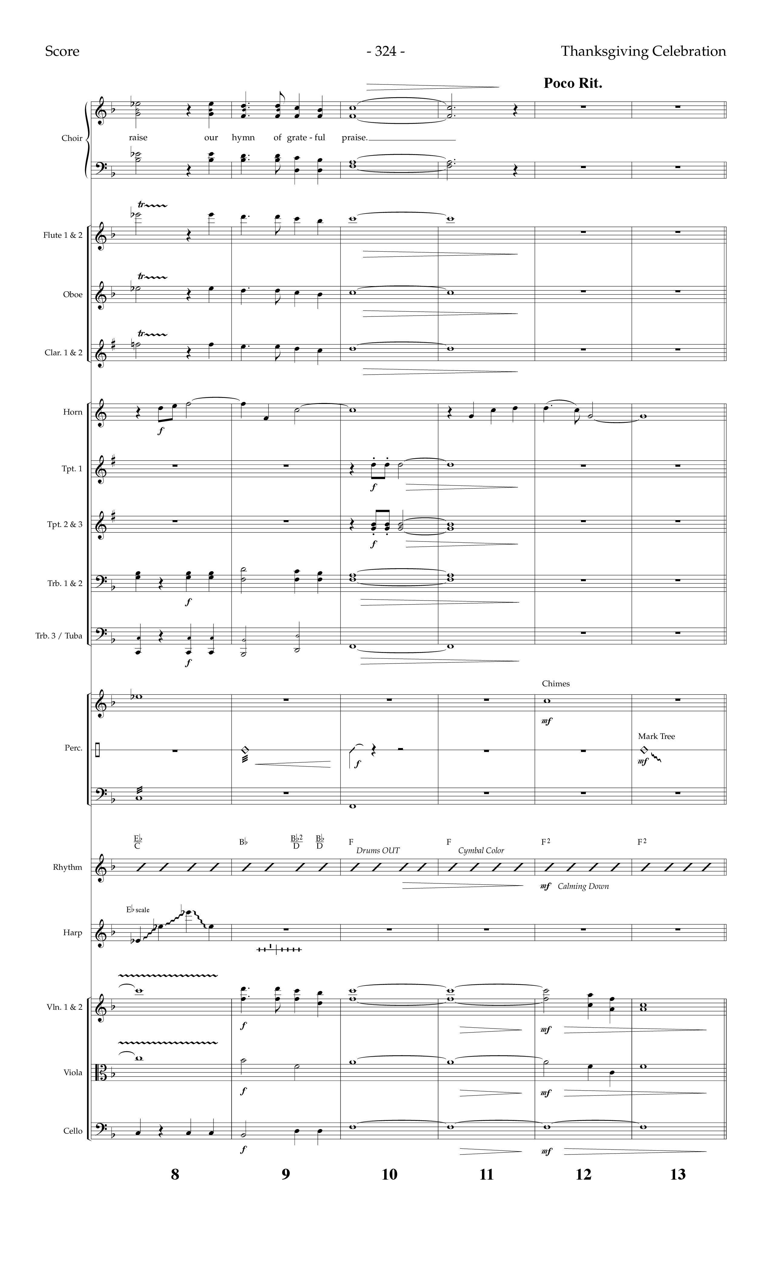 Thanksgiving Celebration (Choral Anthem SATB) Orchestration (Lifeway Choral / Arr. Dennis Allen)