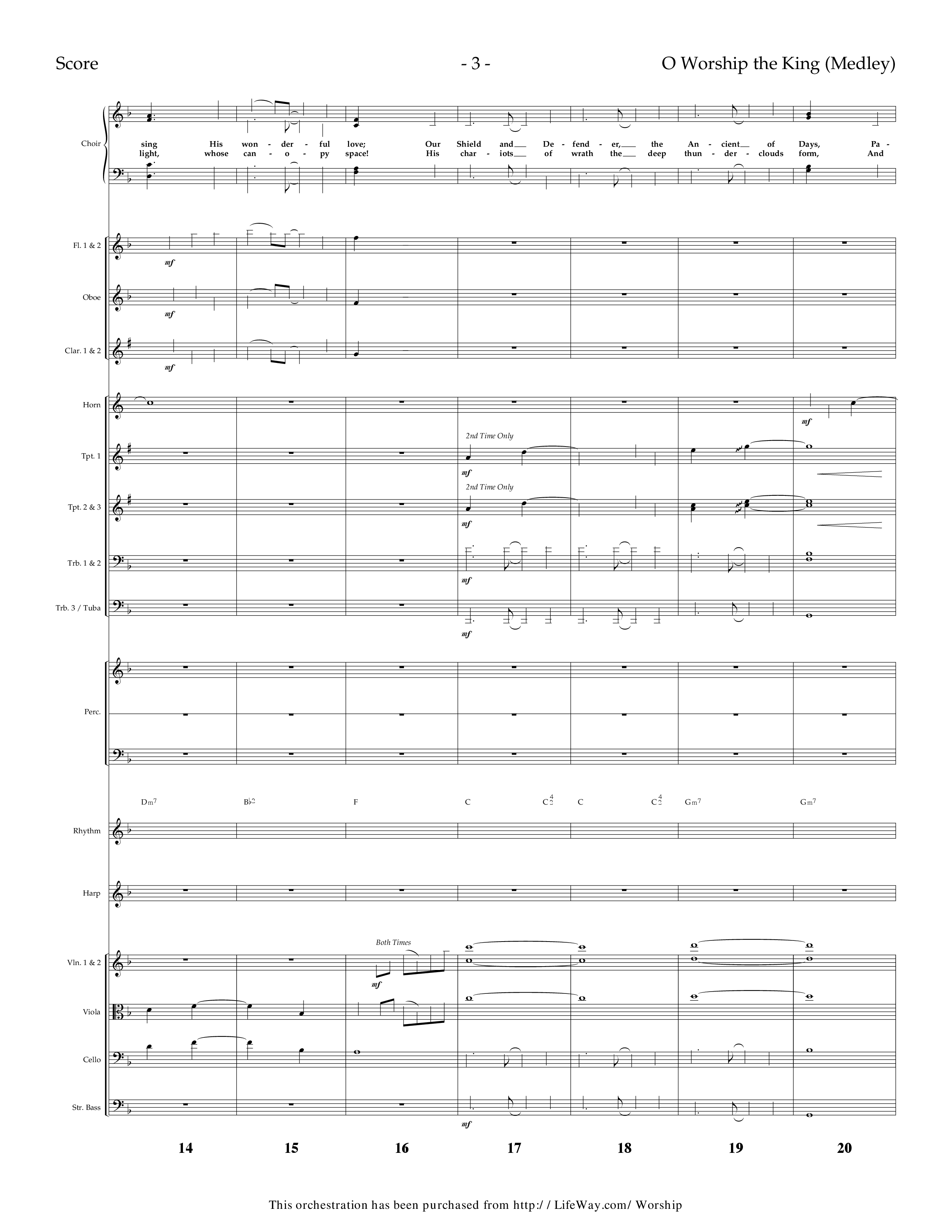 O Worship The King (Medley) (Choral Anthem SATB) Orchestration (Lifeway Choral / Arr. Dennis Allen)