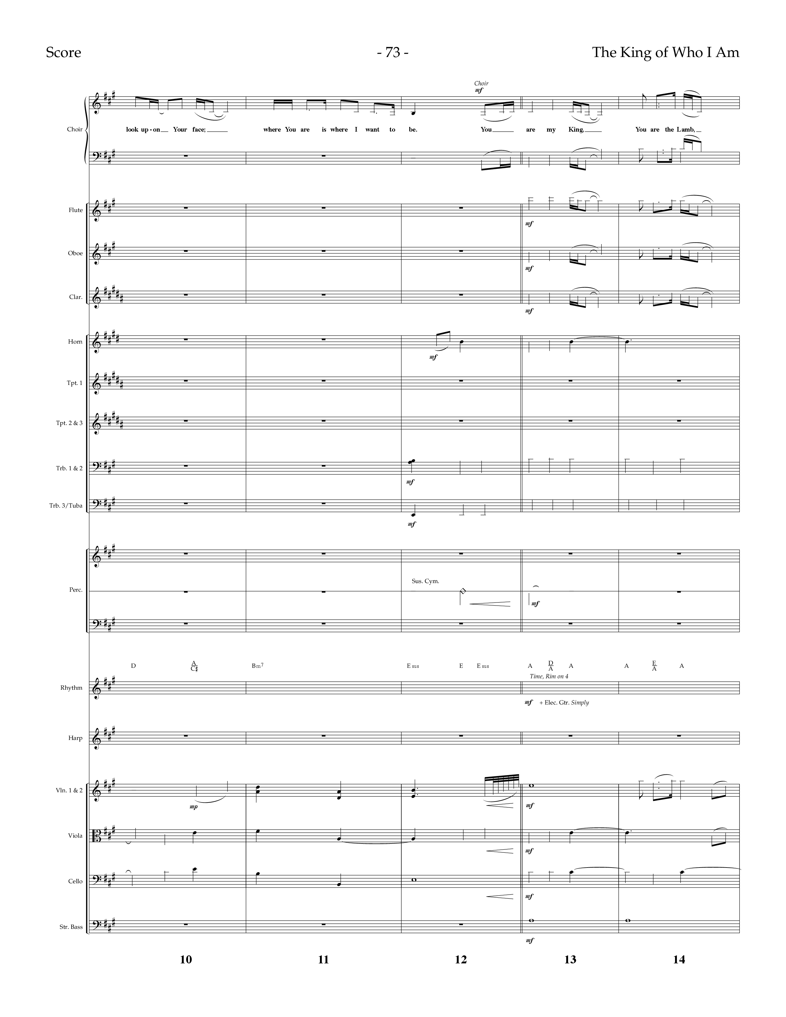 The King Of Who I Am (with You Are My King (Amazing Love)) (Choral Anthem SATB) Conductor's Score (Lifeway Choral / Arr. Dennis Allen)