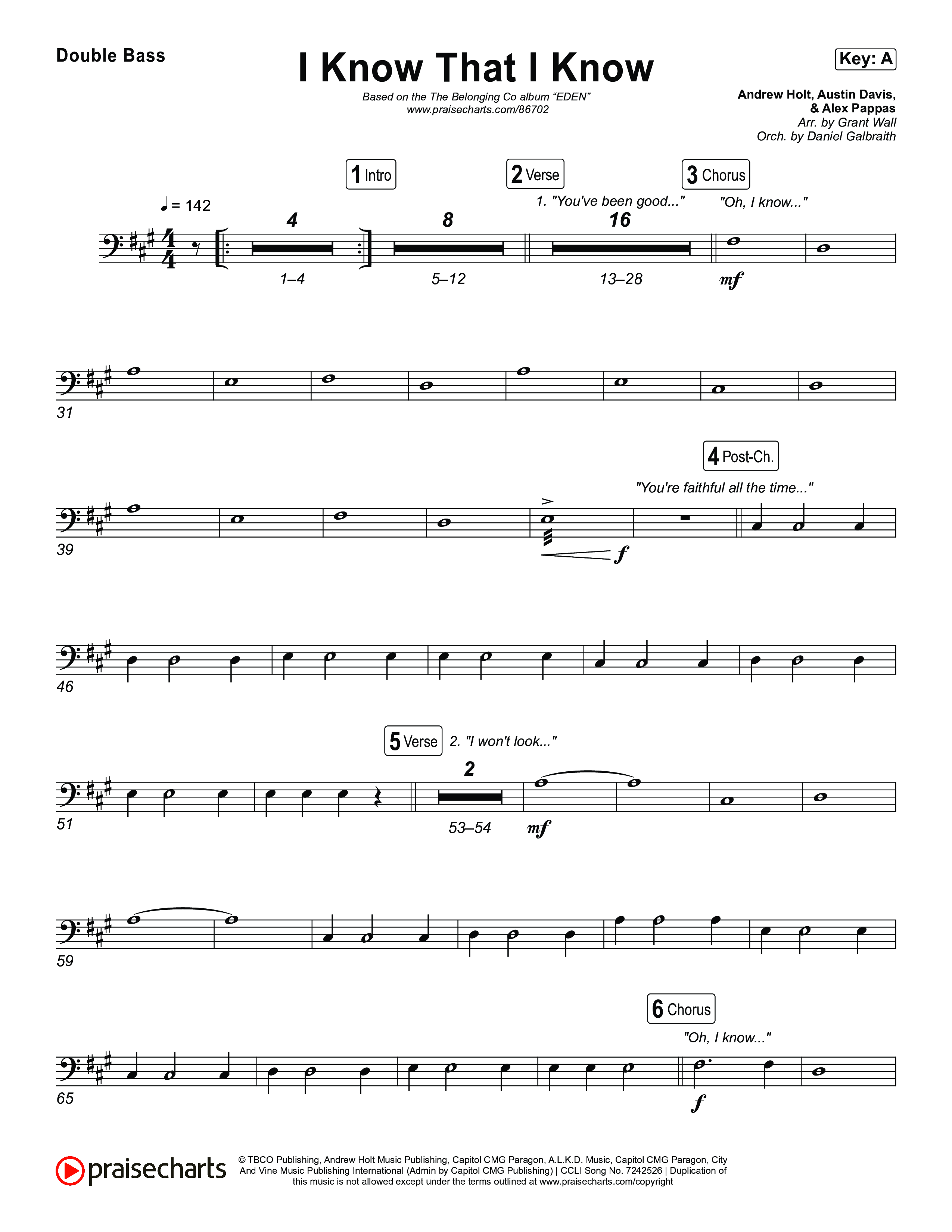 I Know That I Know String Bass (The Belonging Co / David Dennis)