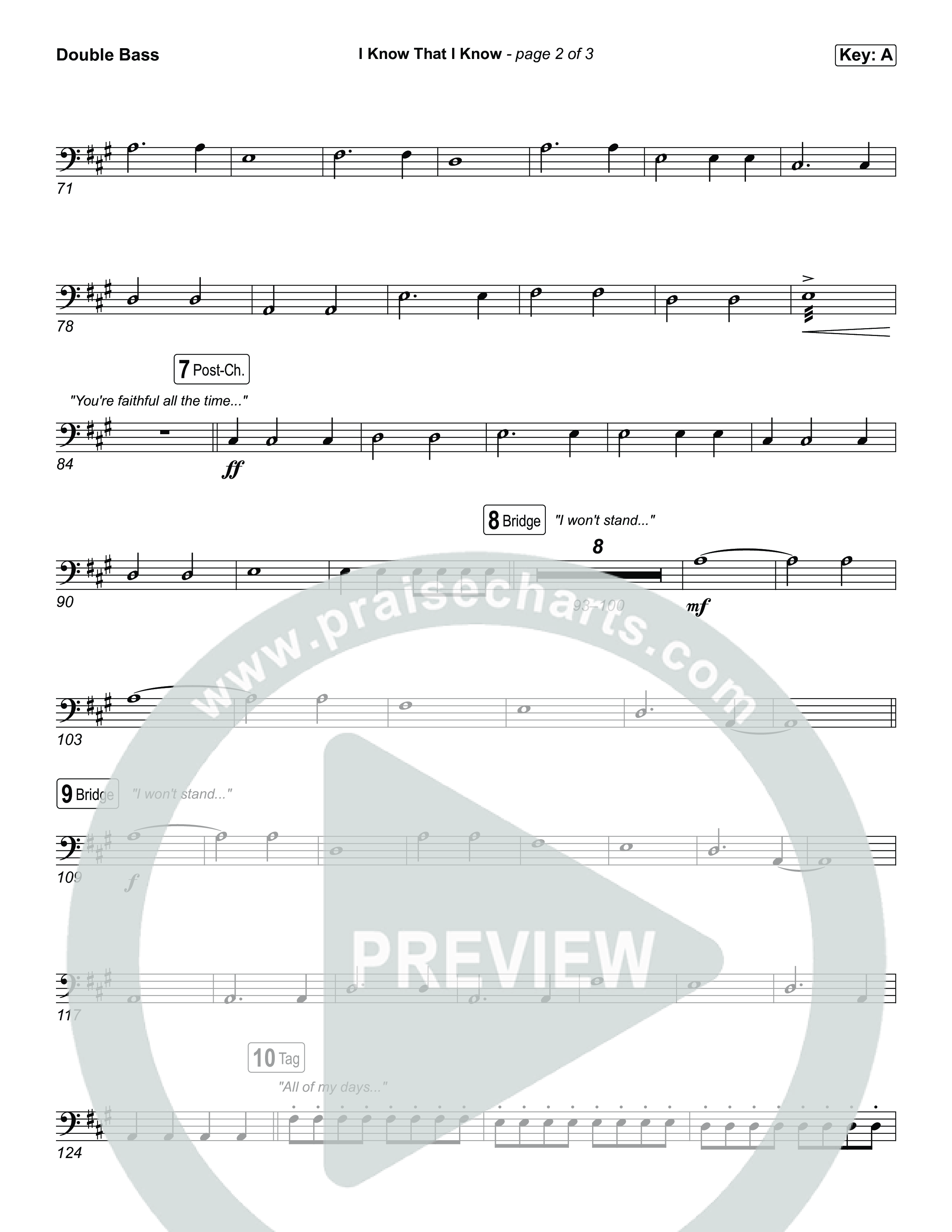 I Know That I Know String Bass (The Belonging Co / David Dennis)