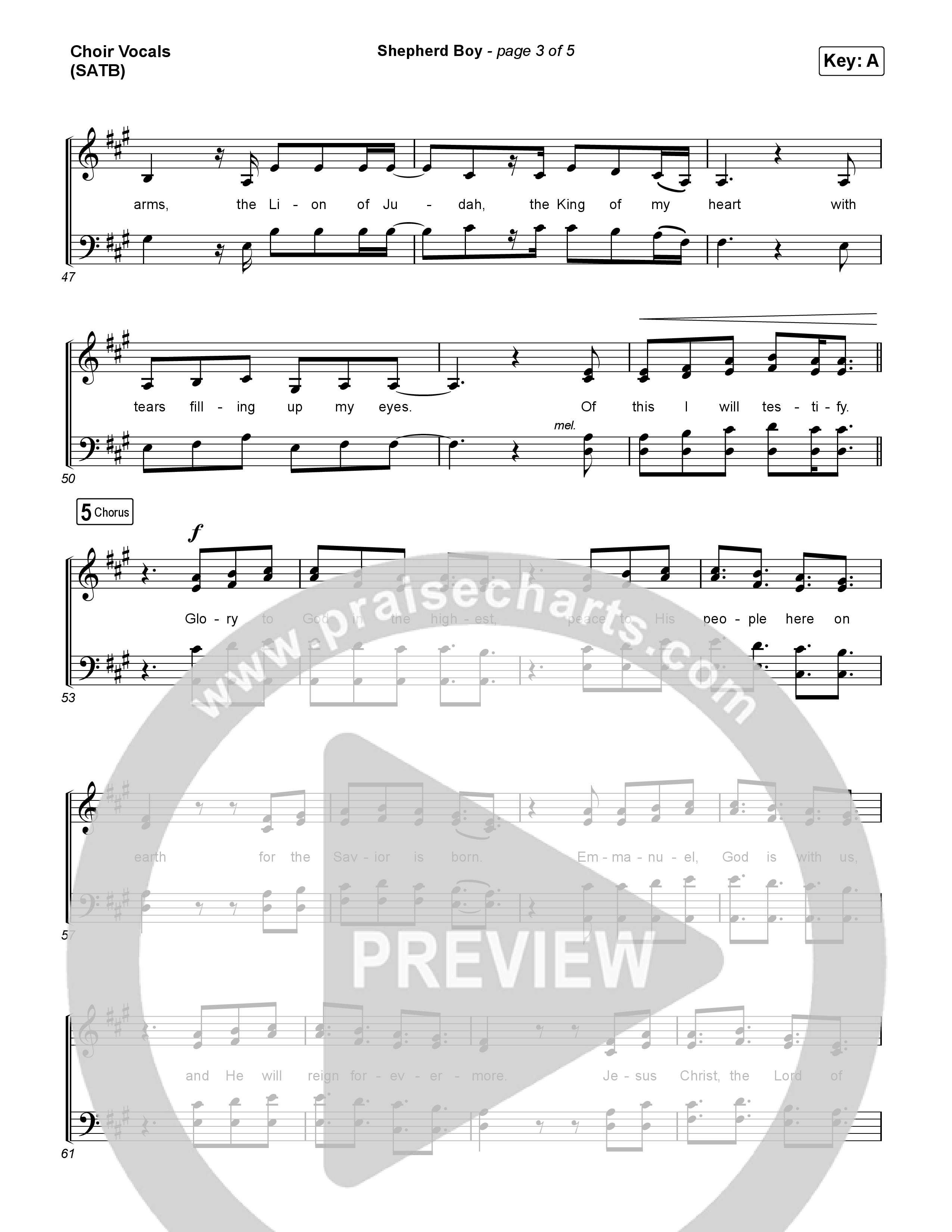 Shepherd Boy (Choral Anthem SATB) Choir Sheet (SATB) (Phil Wickham / Arr. Luke Gambill)