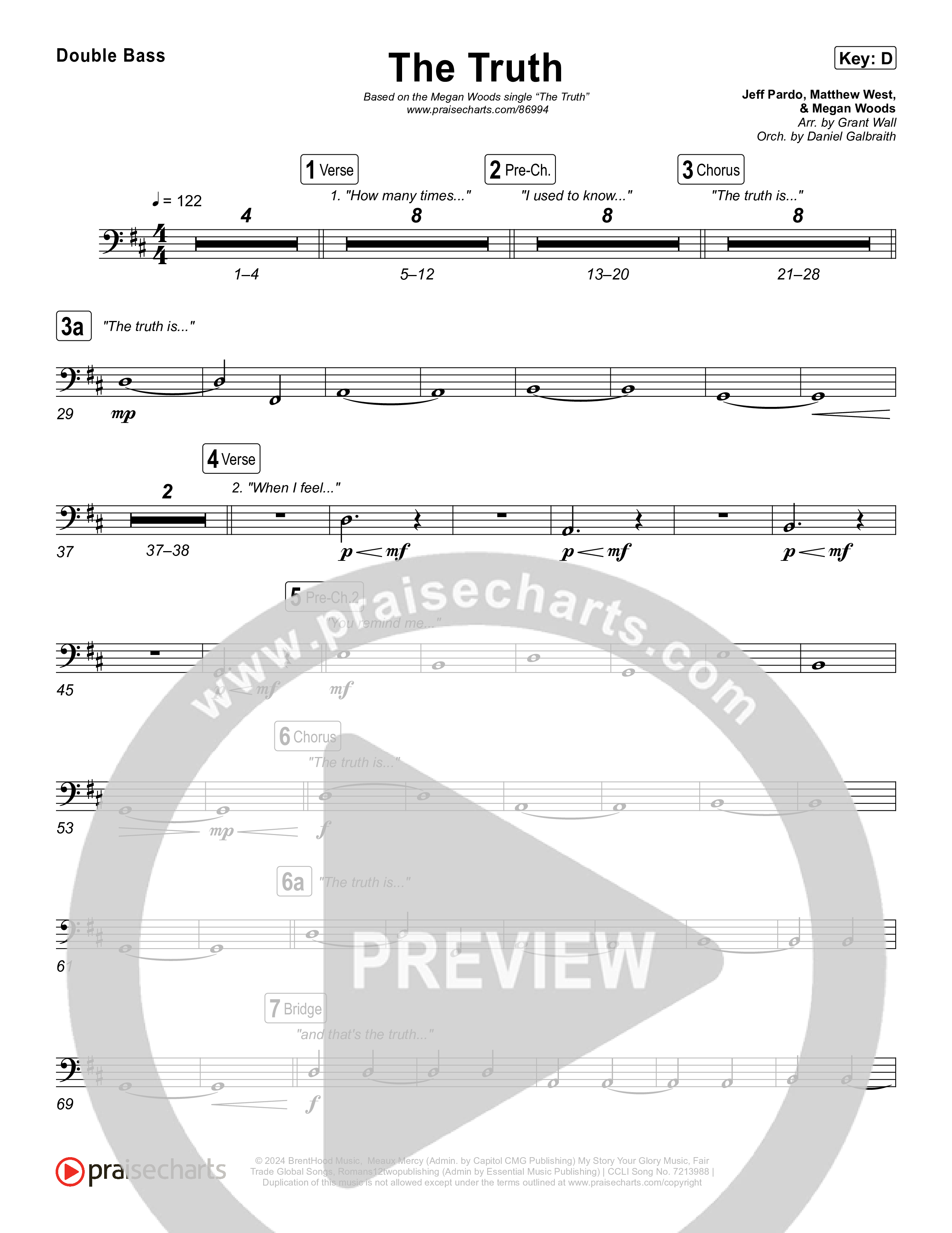 The Truth String Bass (Megan Woods)