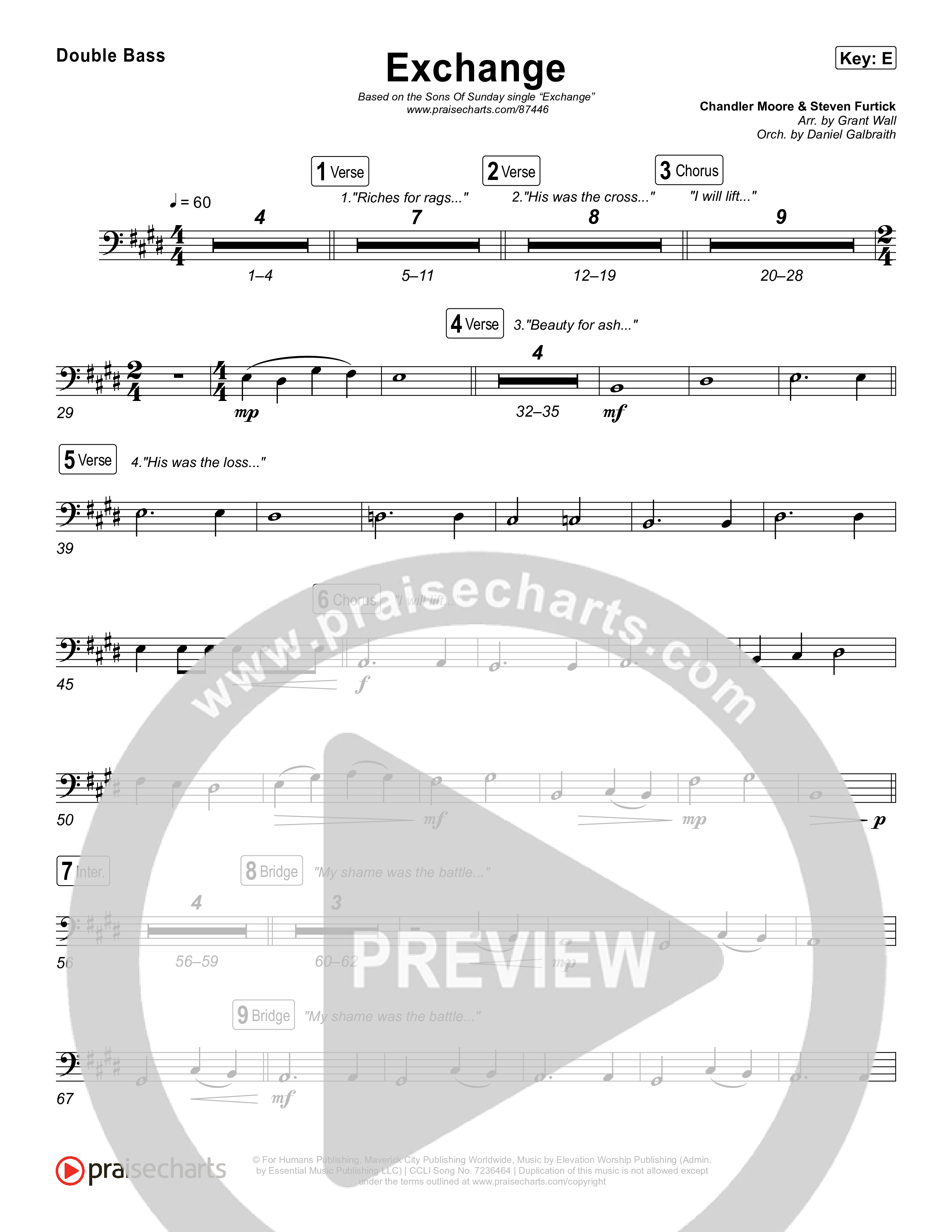 Exchange String Bass (Sons Of Sunday)