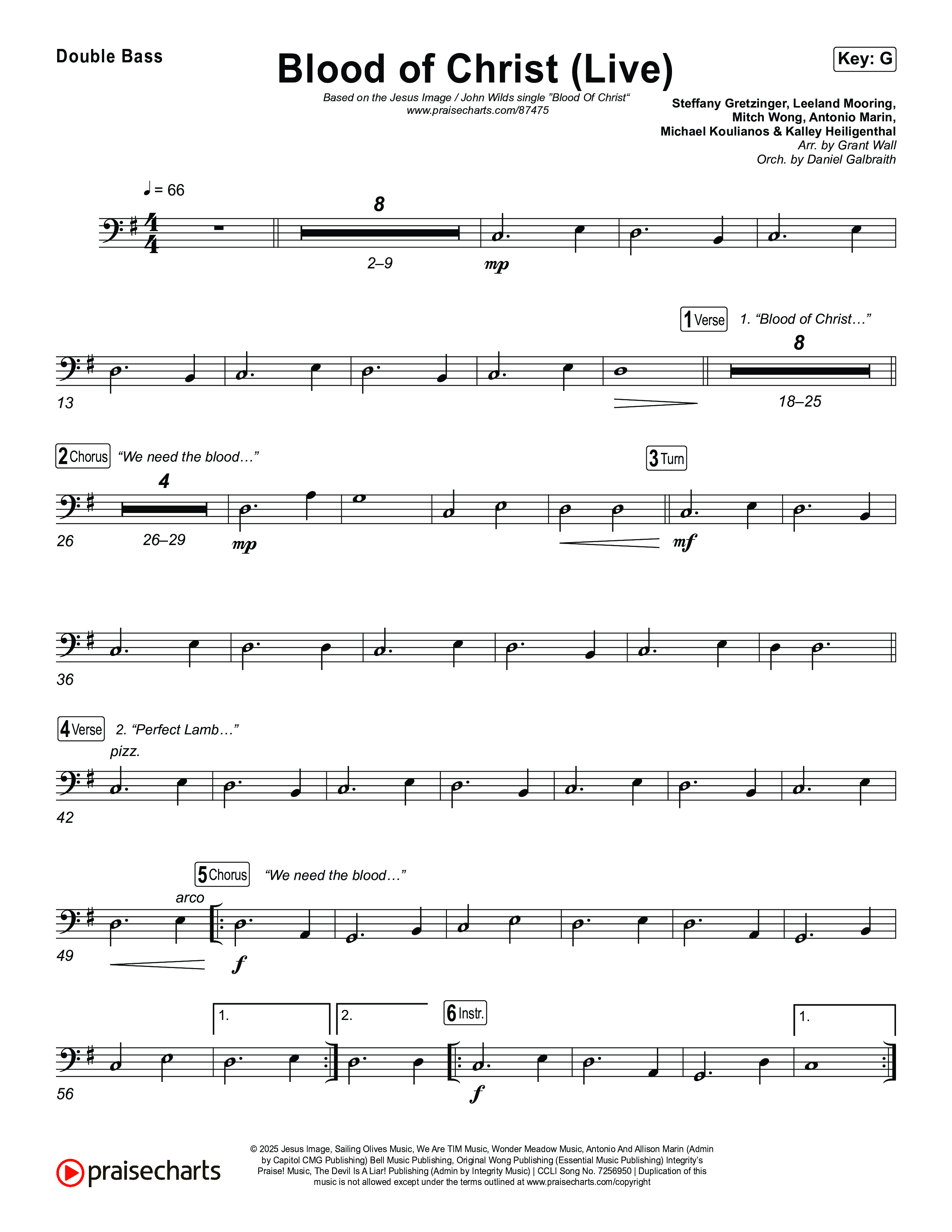 Blood Of Christ (Live) String Bass (Jesus Image / John Wilds)