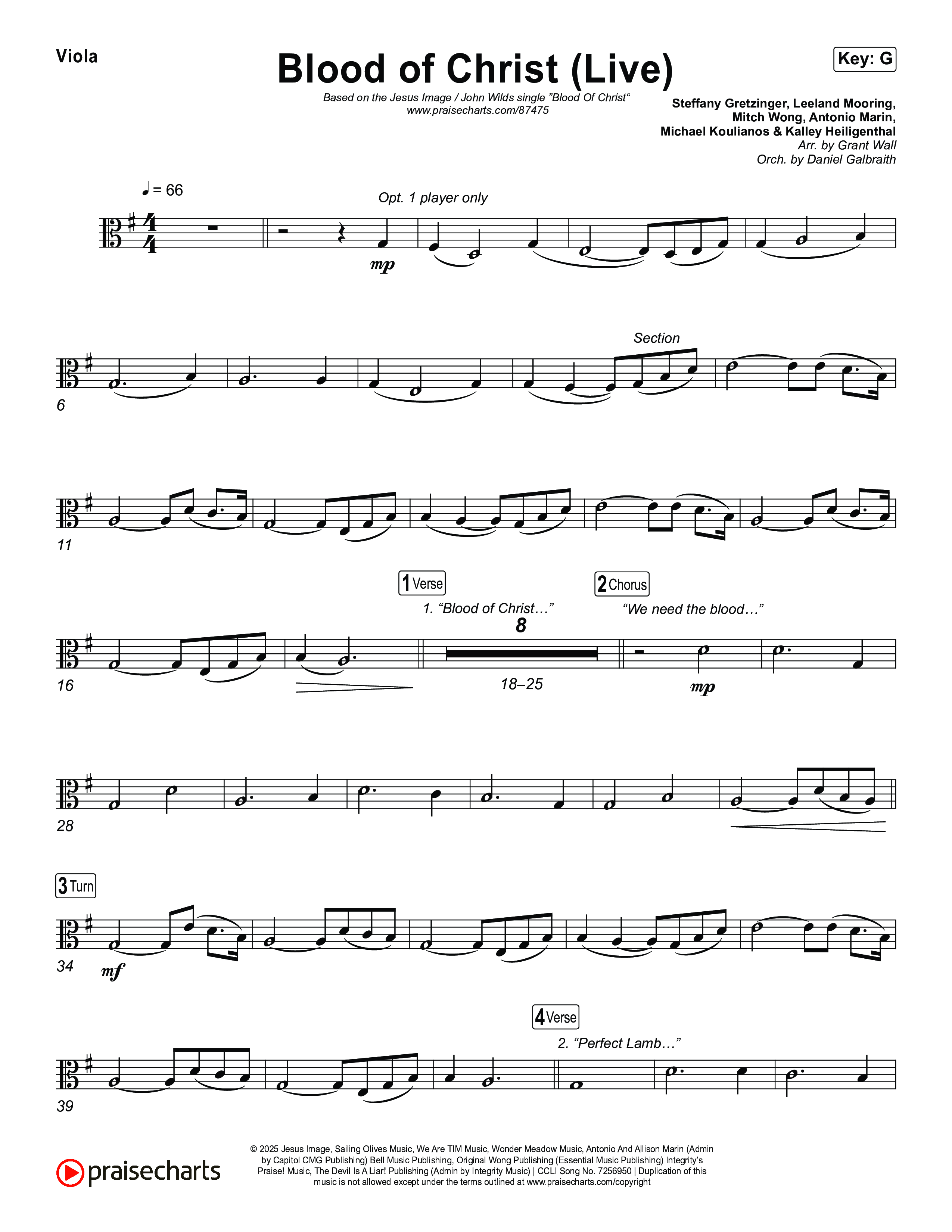 Blood Of Christ (Live) Viola (Jesus Image / John Wilds)