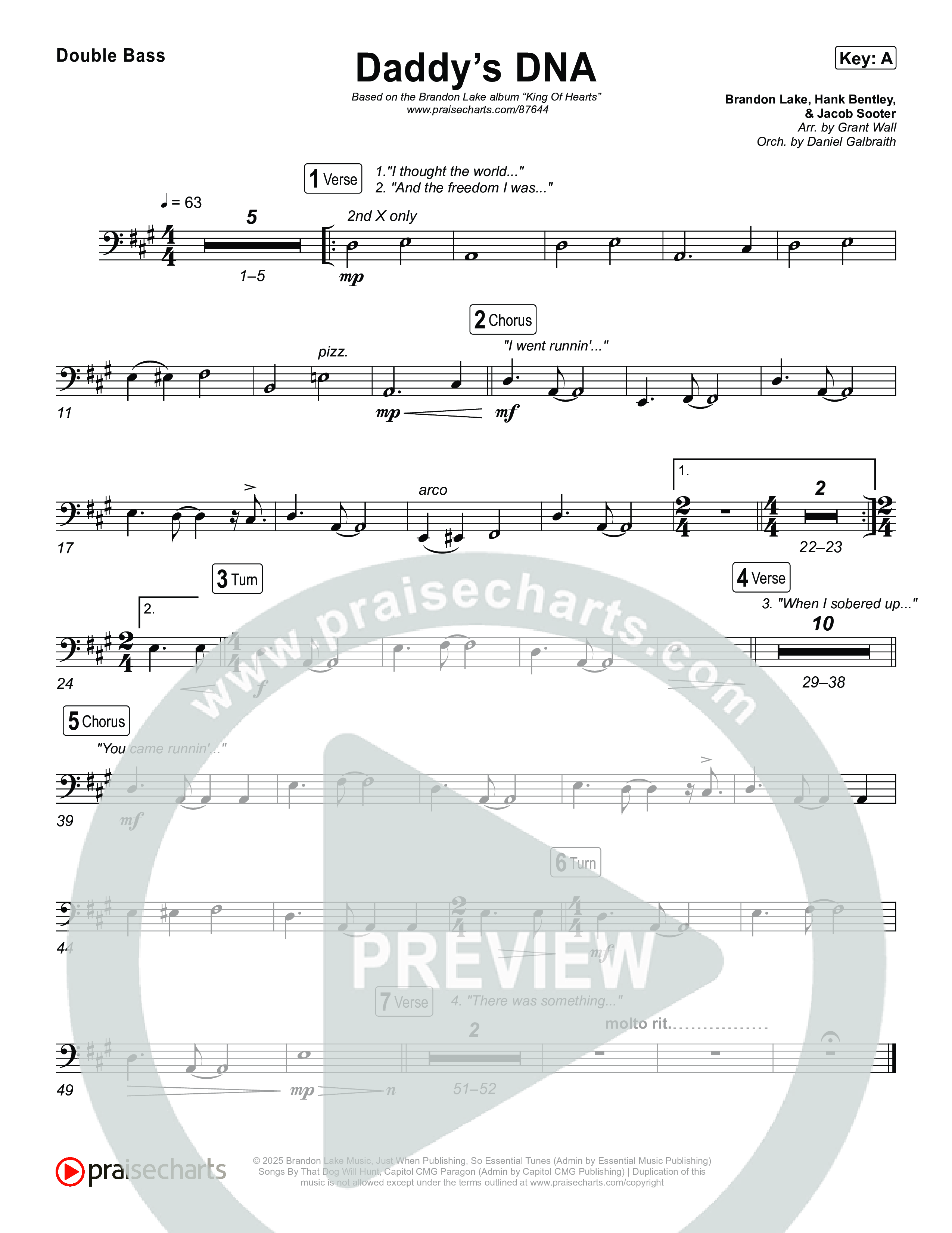 Daddy's DNA String Bass (Brandon Lake)