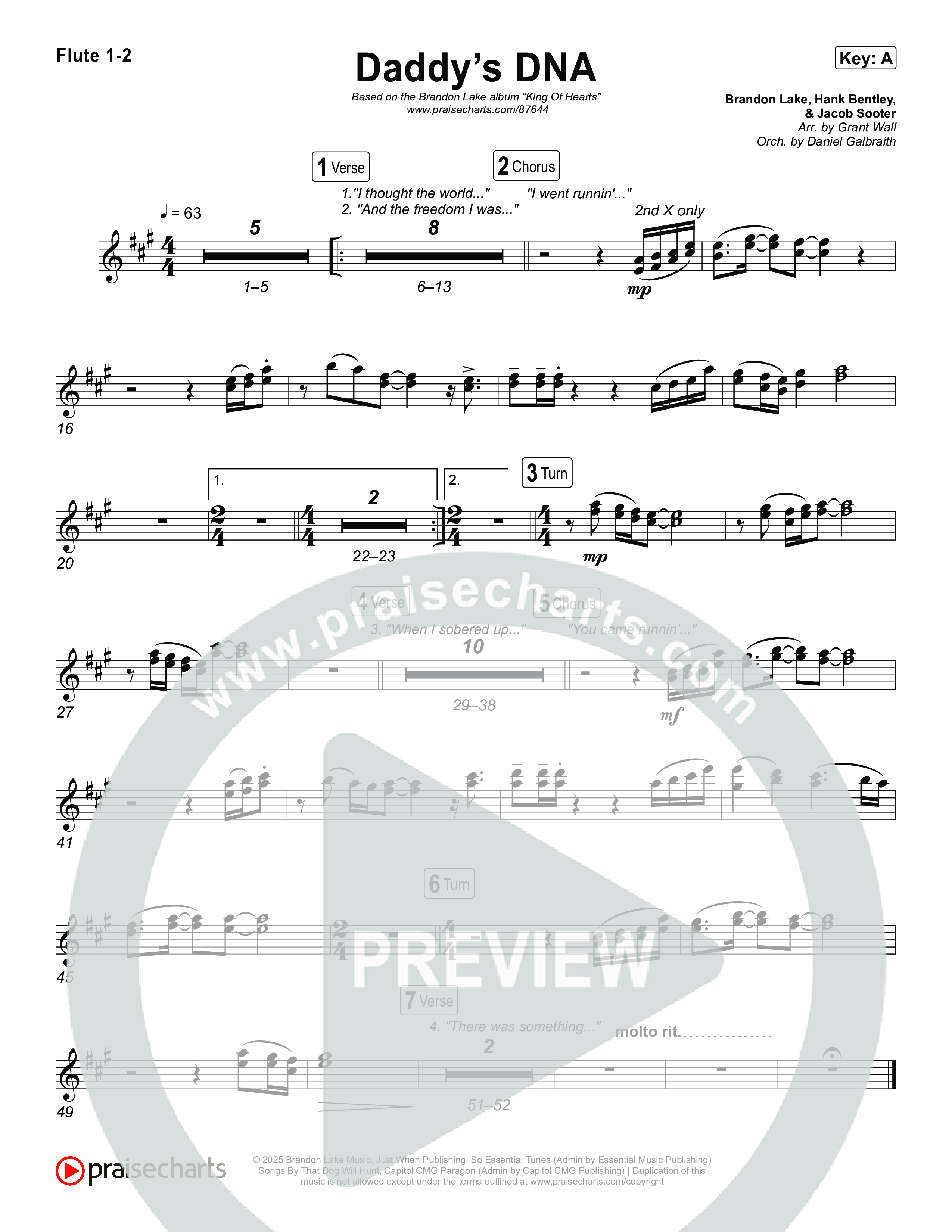 Daddy's DNA Flute 1,2 (Brandon Lake)