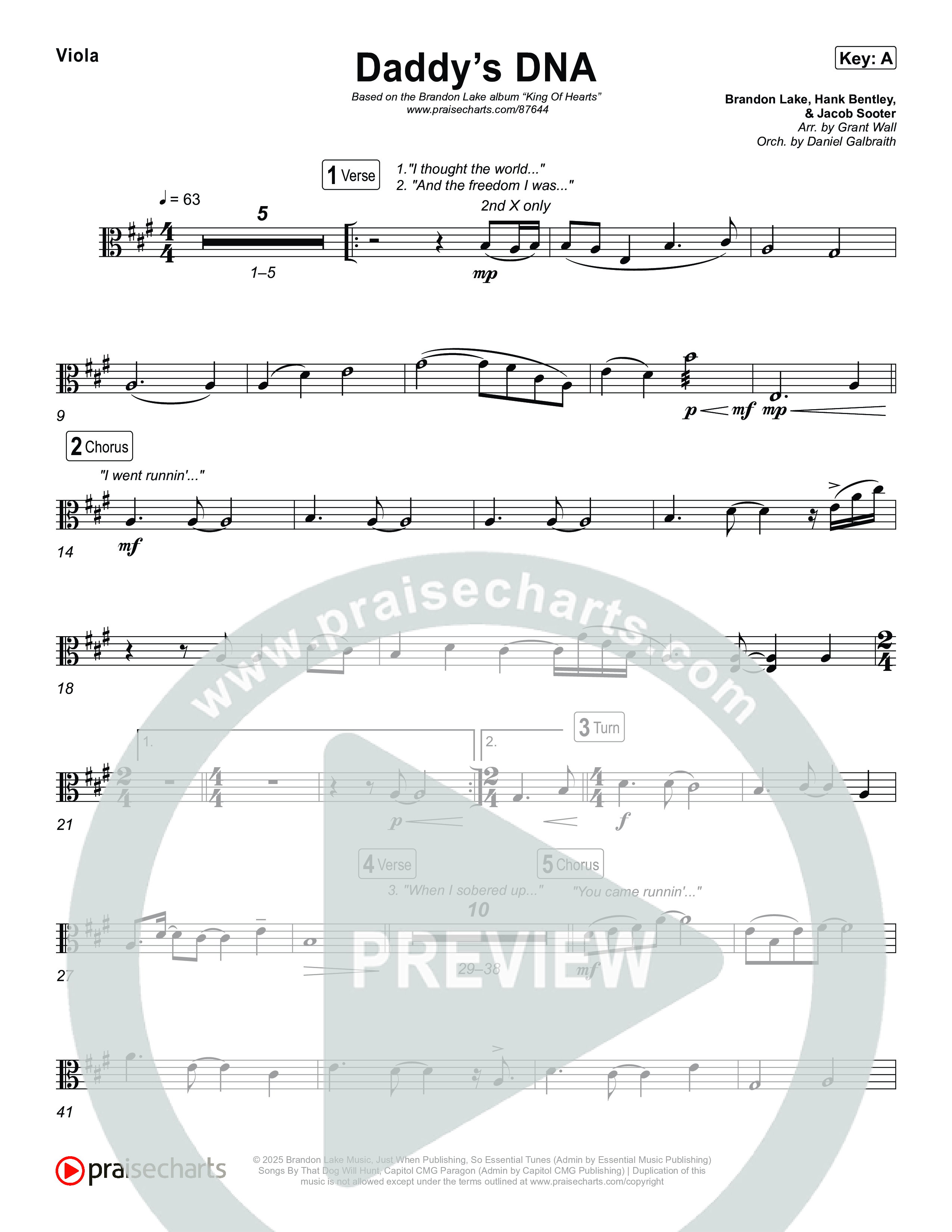 Daddy's DNA Viola (Brandon Lake)