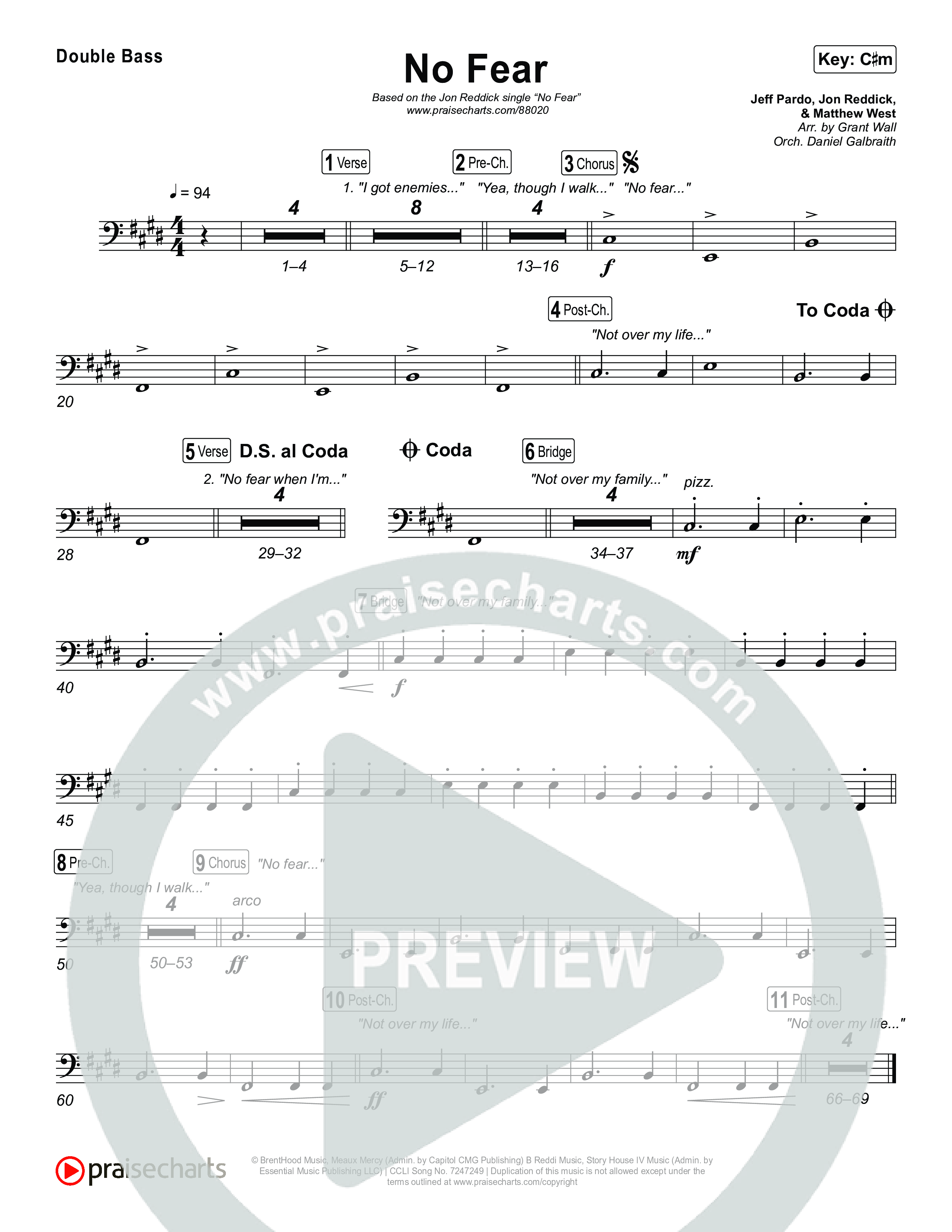 No Fear String Bass (Jon Reddick)