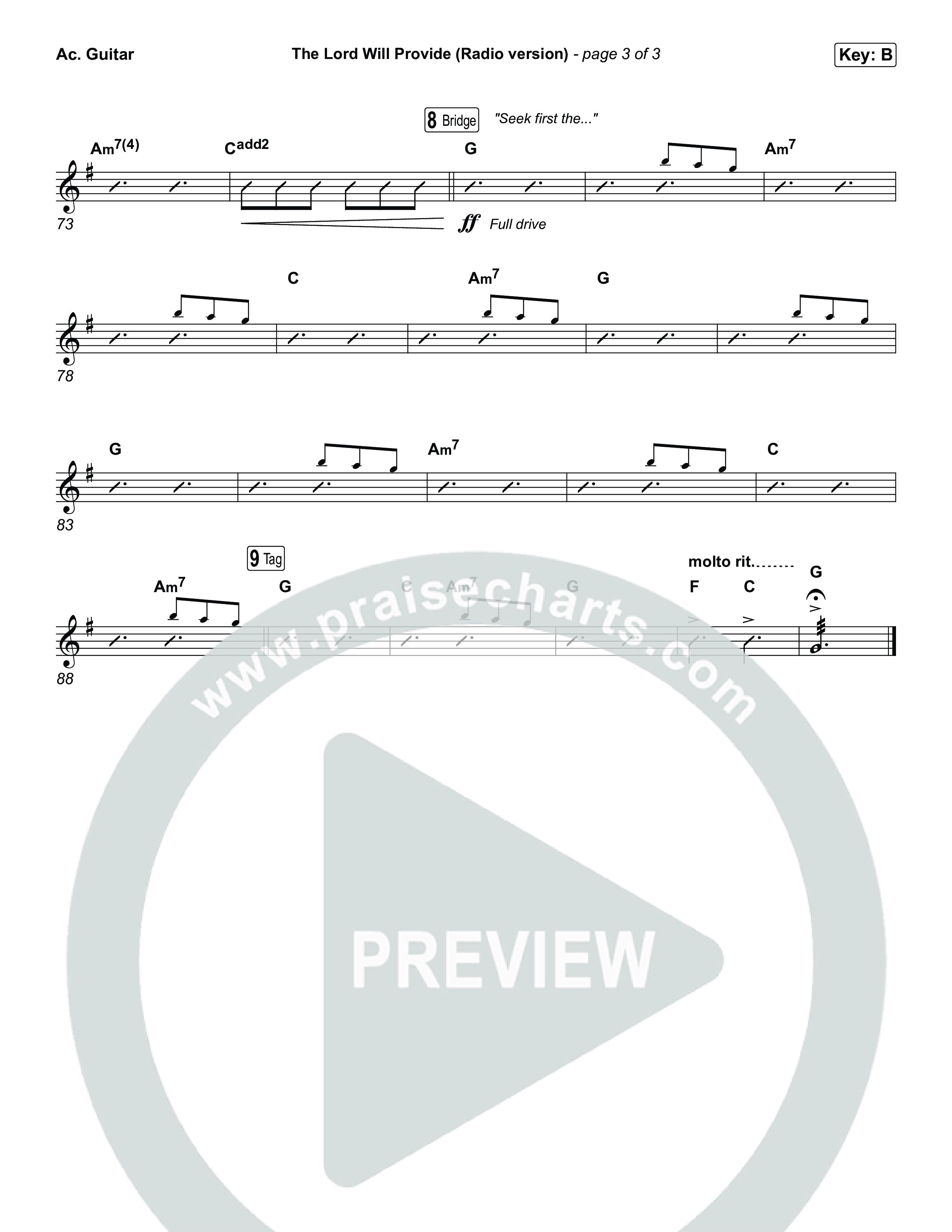 The Lord Will Provide (Radio) Acoustic Guitar (Passion)