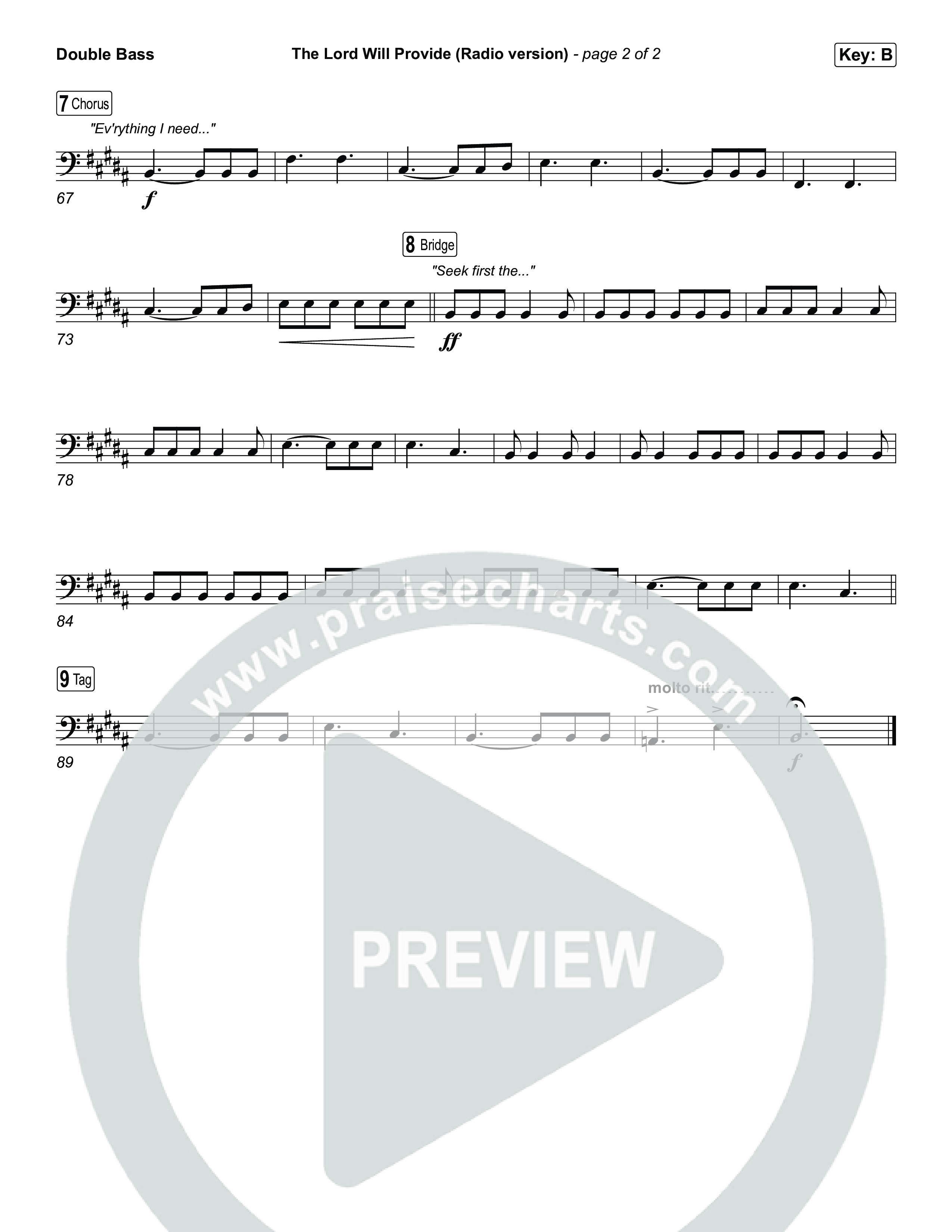 The Lord Will Provide (Radio) String Bass (Passion)