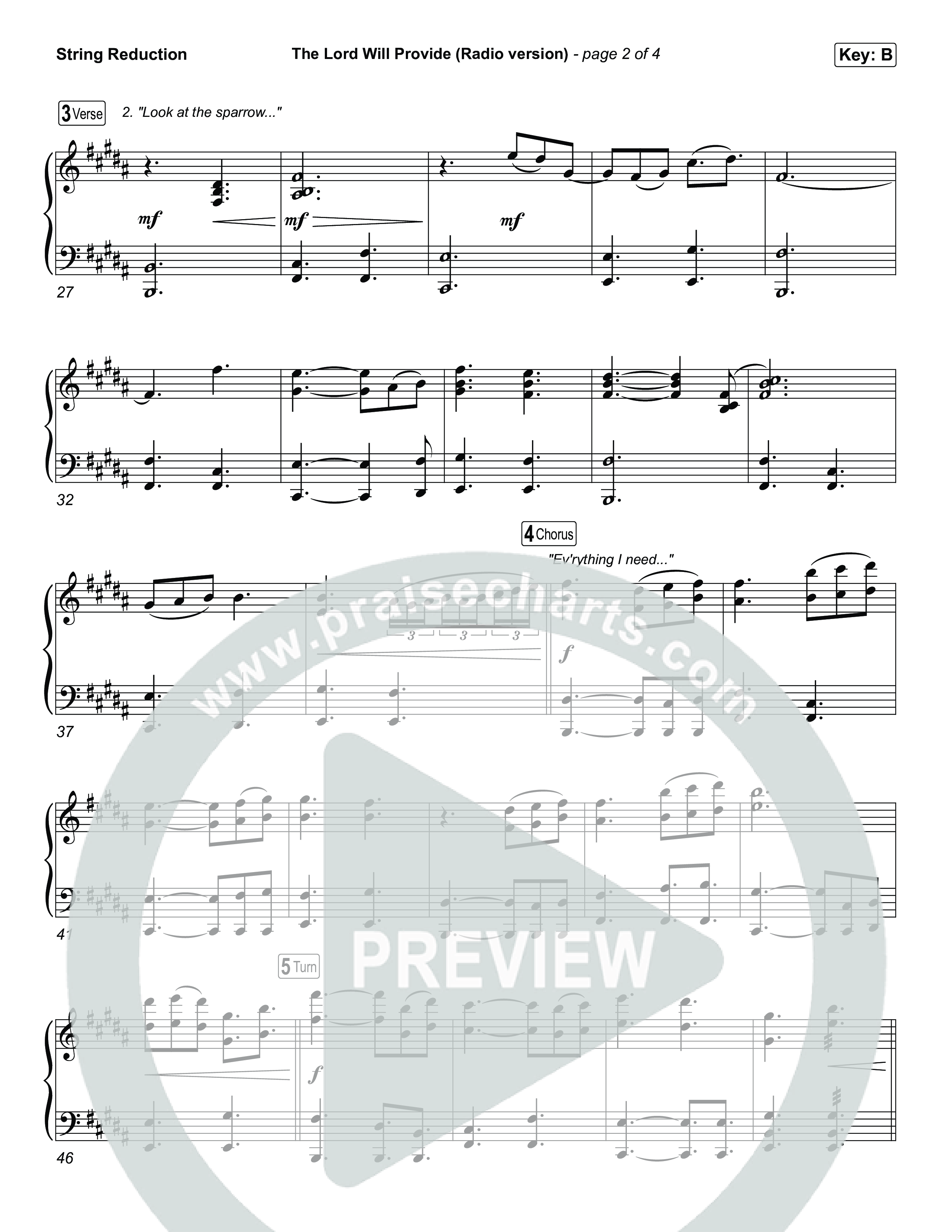 The Lord Will Provide (Radio) String Reduction (Passion)