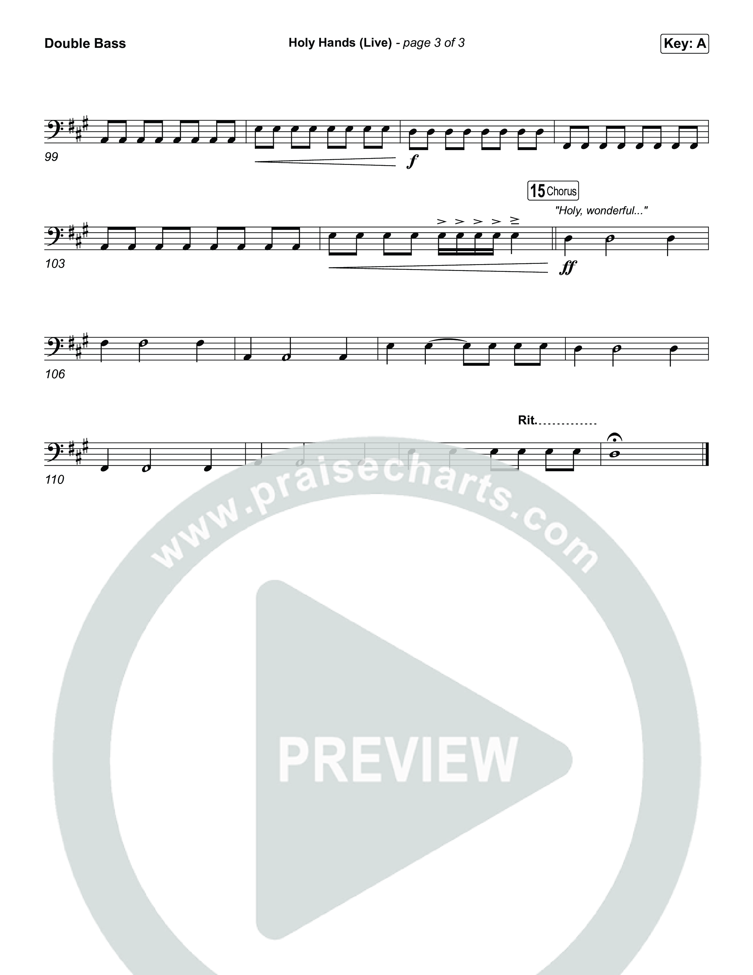 Holy Hands (Live) Double Bass (The McClures)