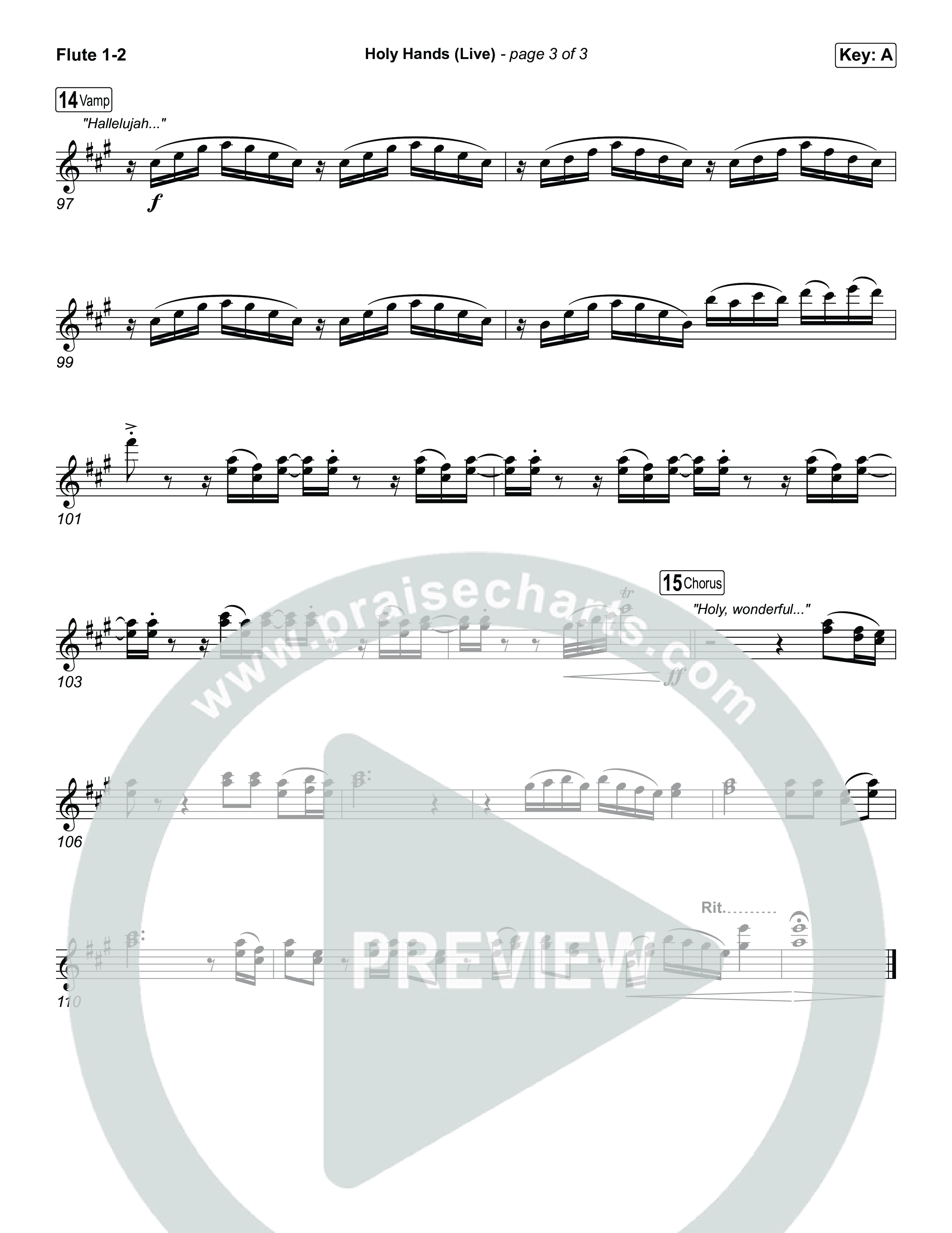 Holy Hands (Live) Wind Pack (The McClures)