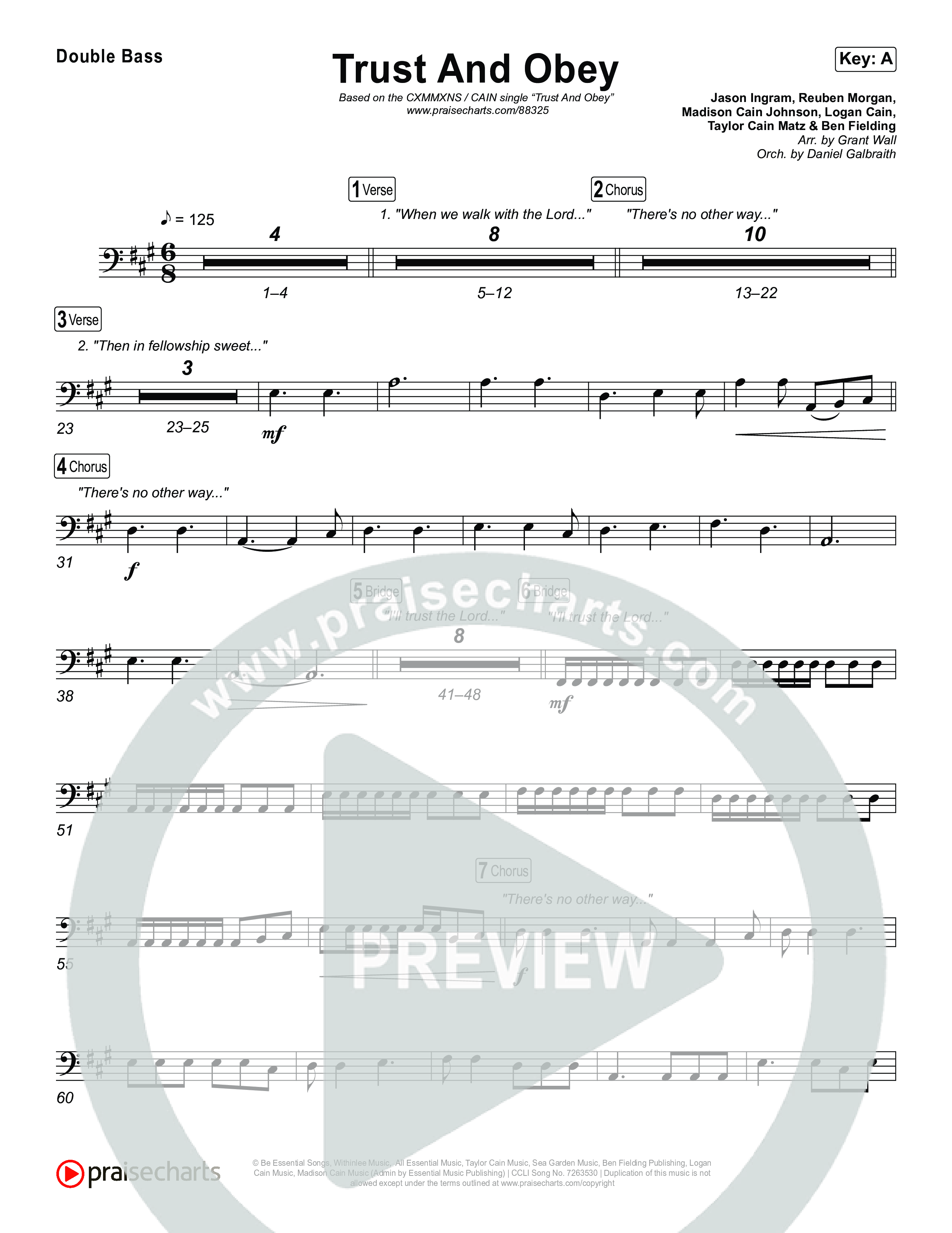 Trust And Obey String Bass (CXMMXNS / CAIN)