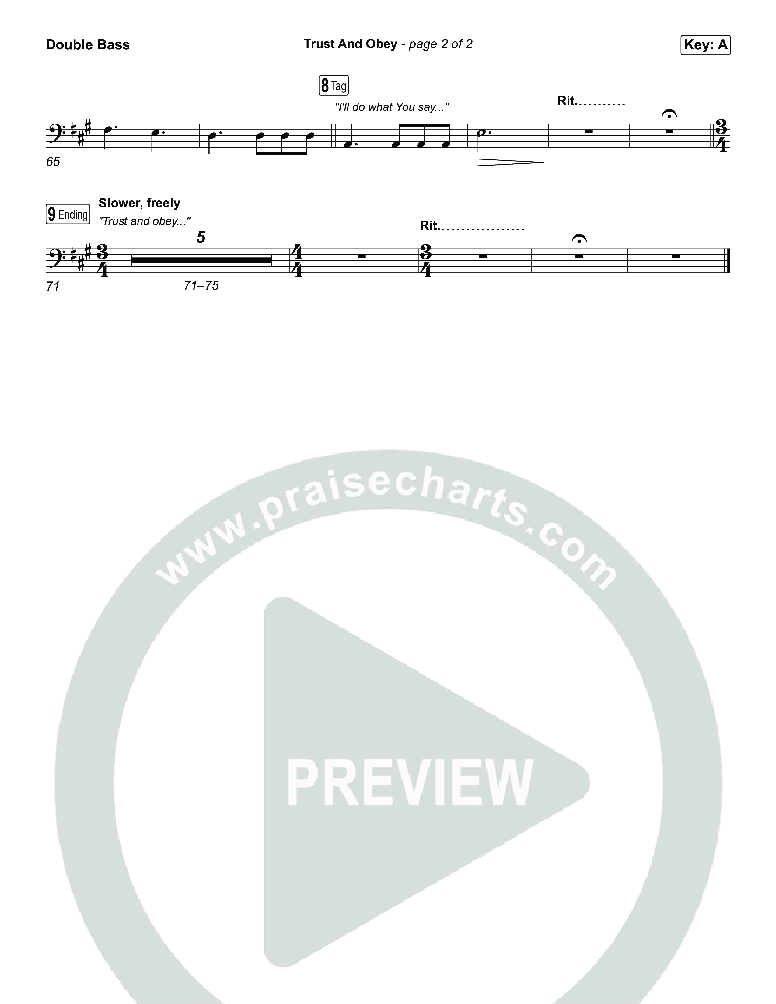 Trust And Obey String Bass (CXMMXNS / CAIN)