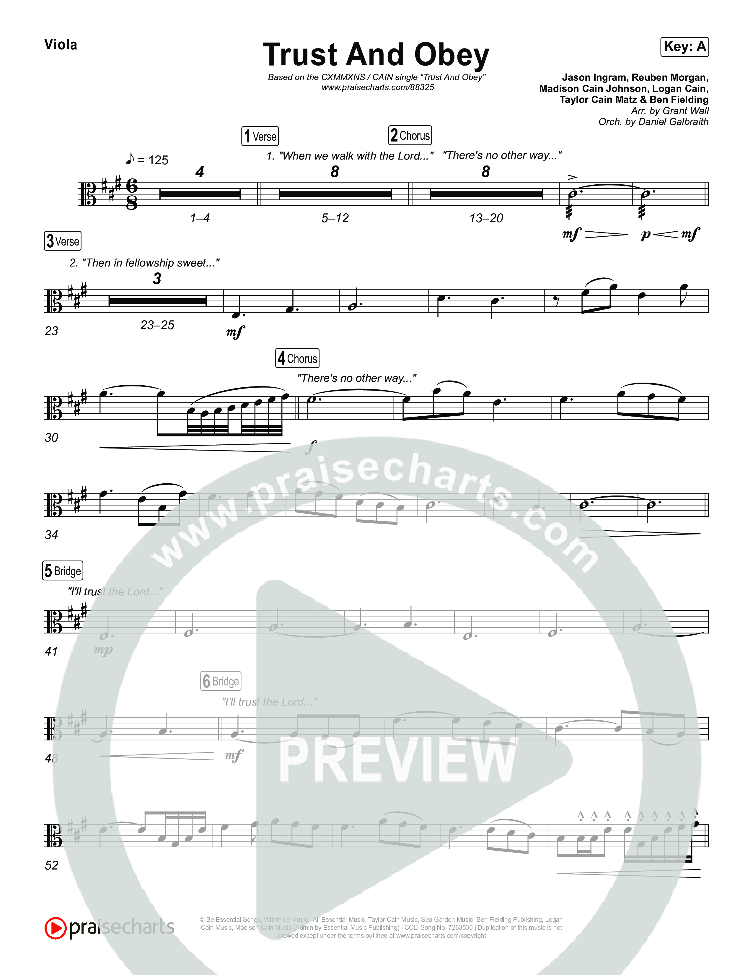 Trust And Obey Viola (CXMMXNS / CAIN)