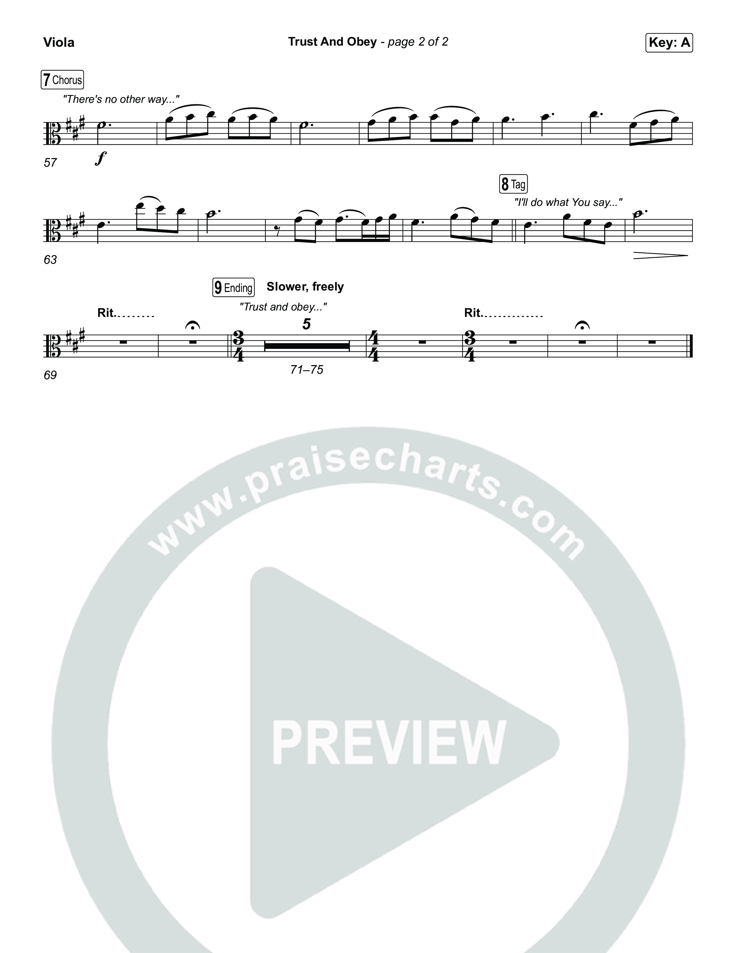 Trust And Obey Viola (CXMMXNS / CAIN)