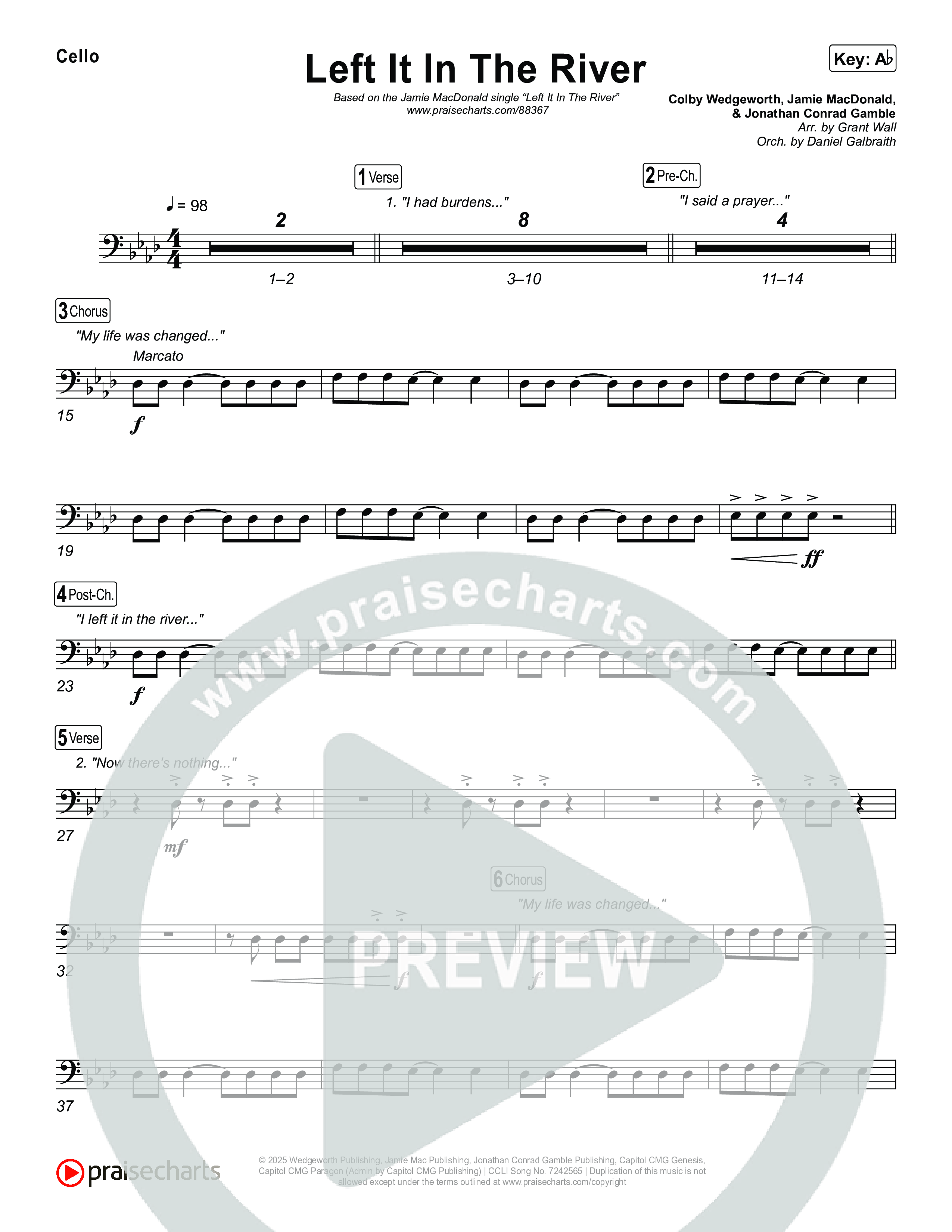 Left It In The River Cello (Jamie MacDonald)