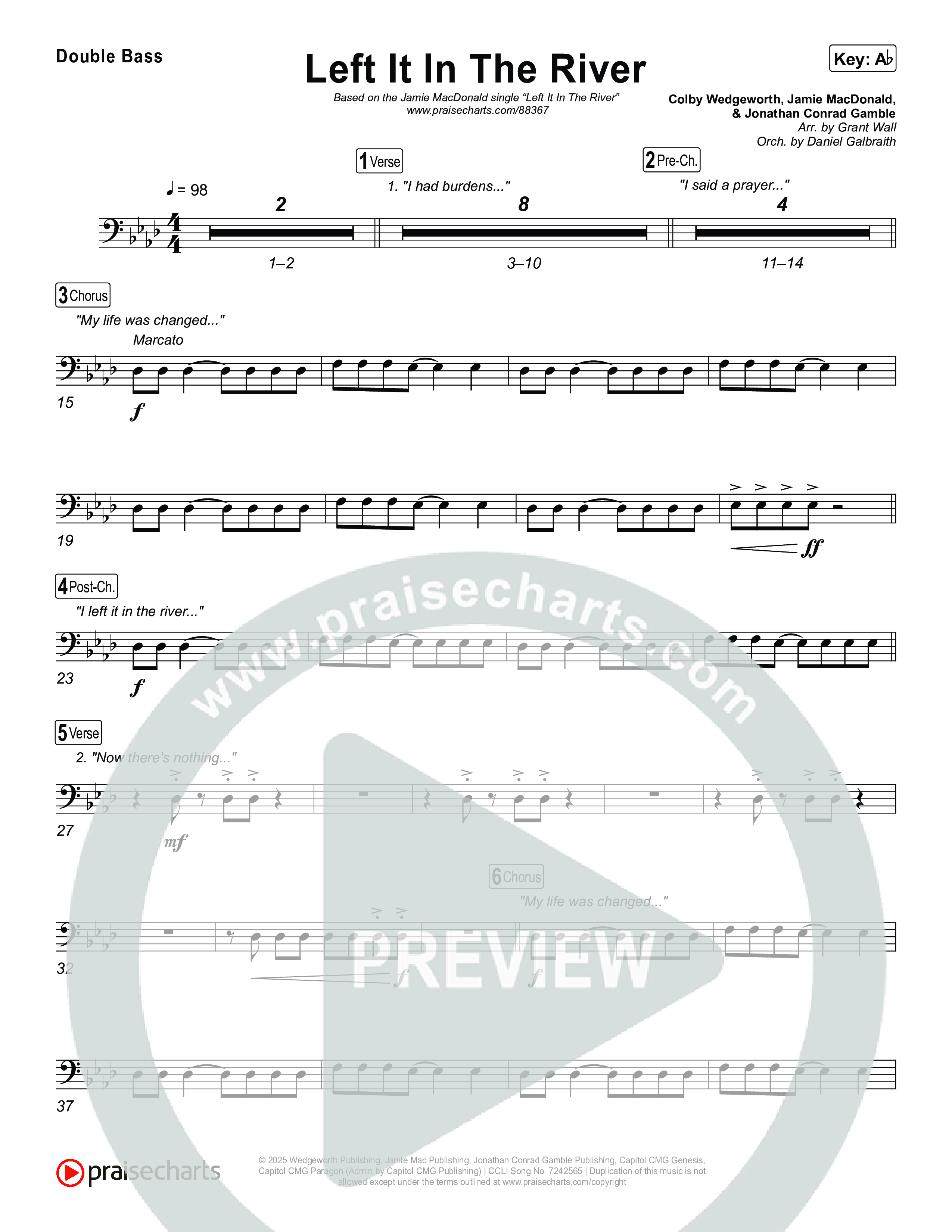 Left It In The River String Bass (Jamie MacDonald)