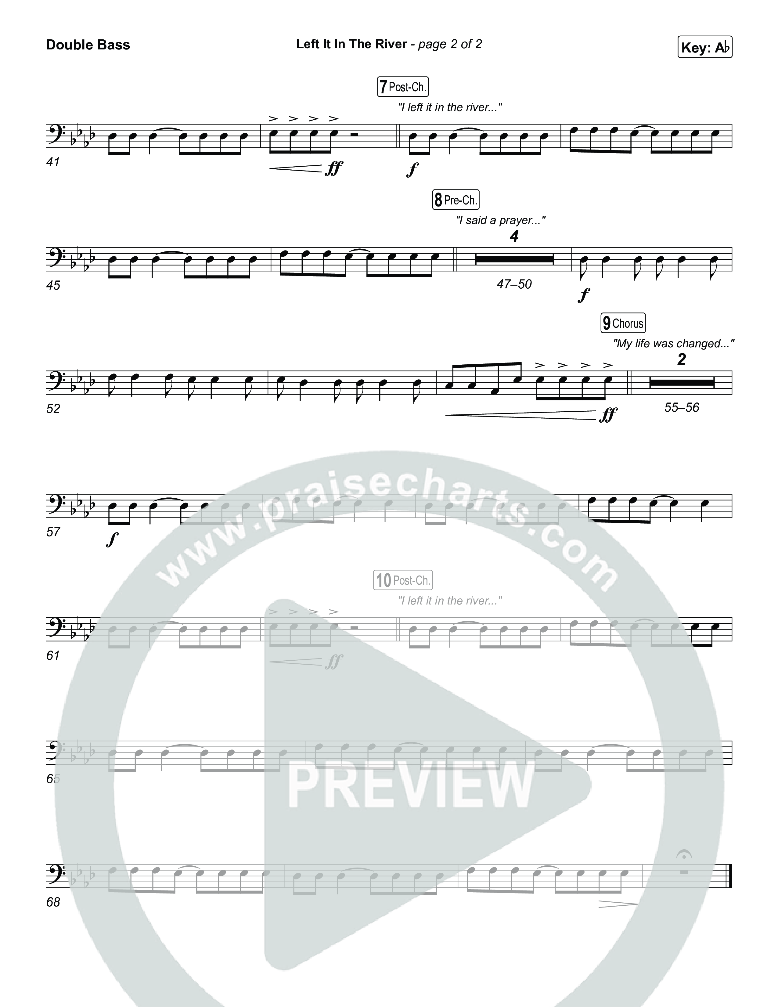 Left It In The River String Bass (Jamie MacDonald)