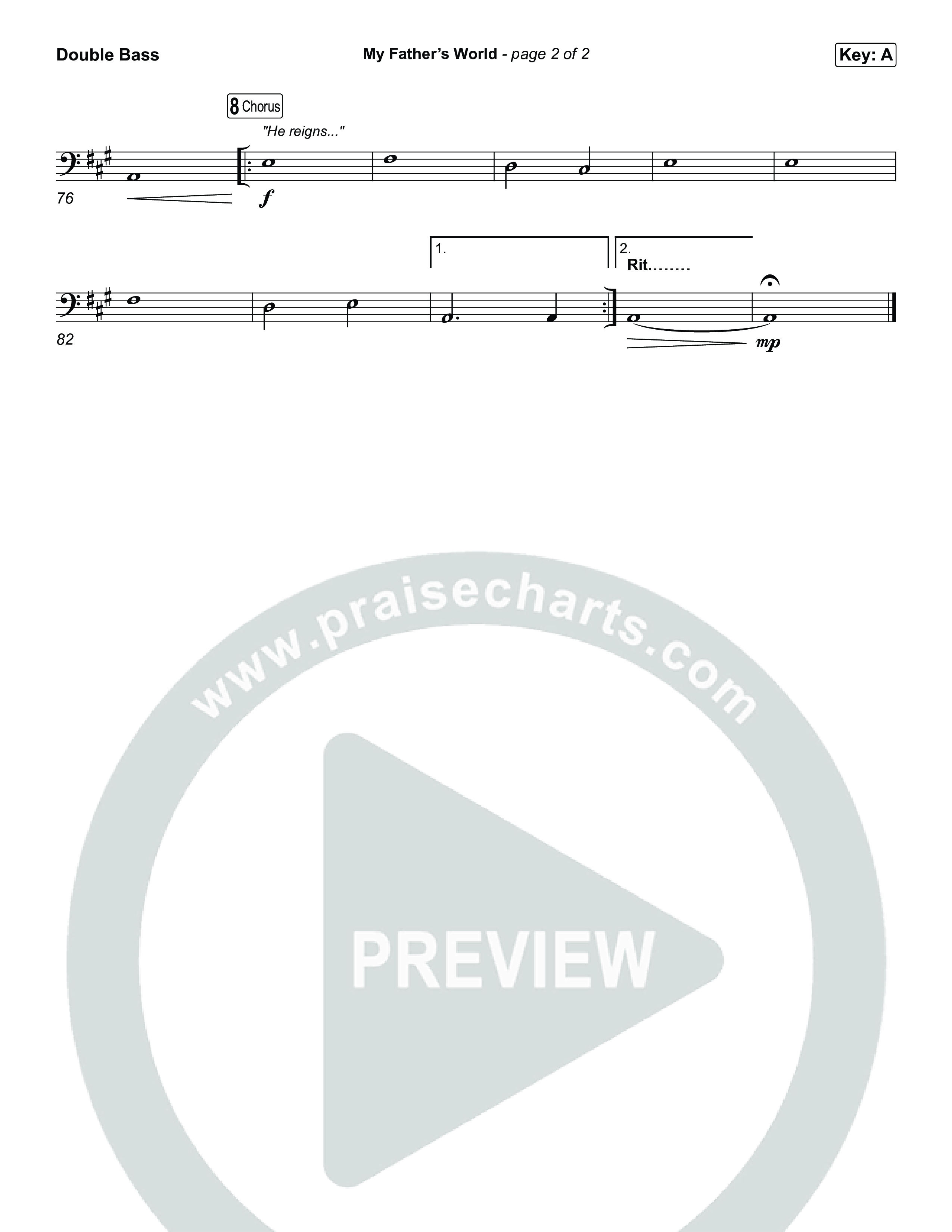 My Father's World String Bass (Chris Tomlin)