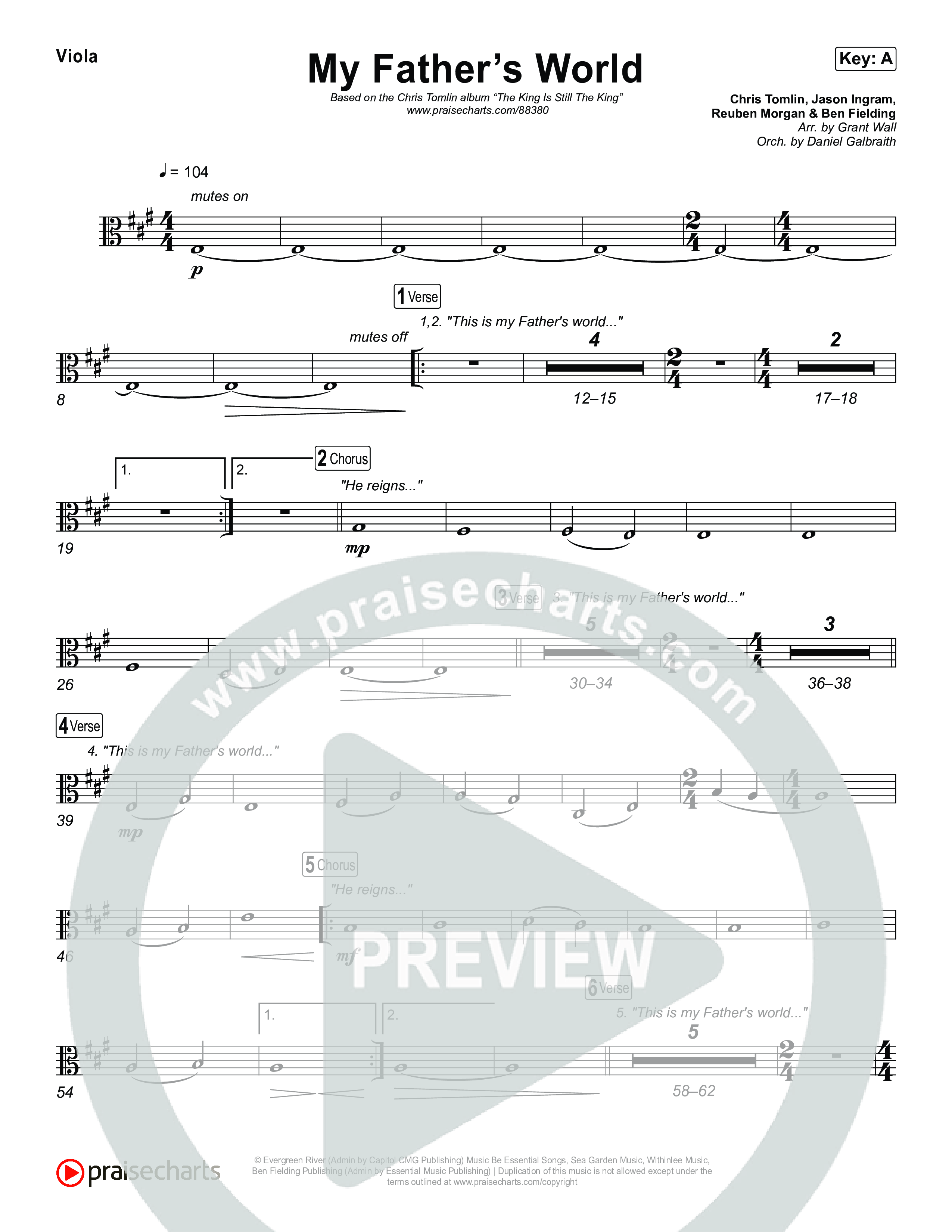 My Father's World String Pack (Chris Tomlin)