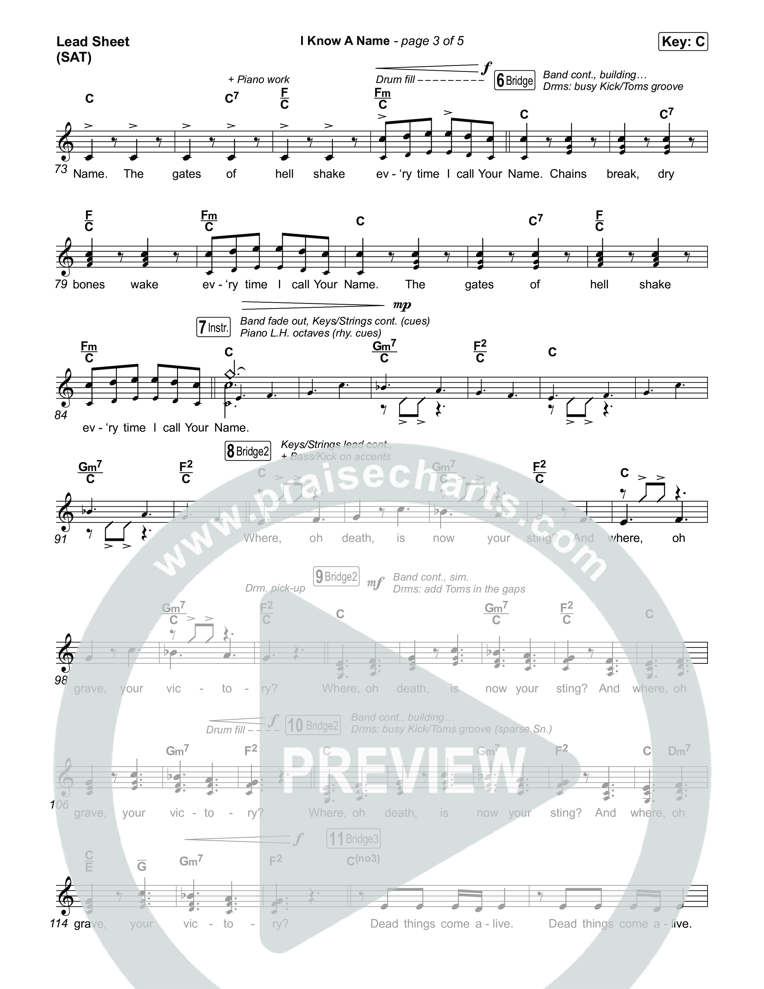 I Know A Name (Choral/SATB) Lead Sheet (SAT) (Travis Cottrell / Arr. Mason Brown)