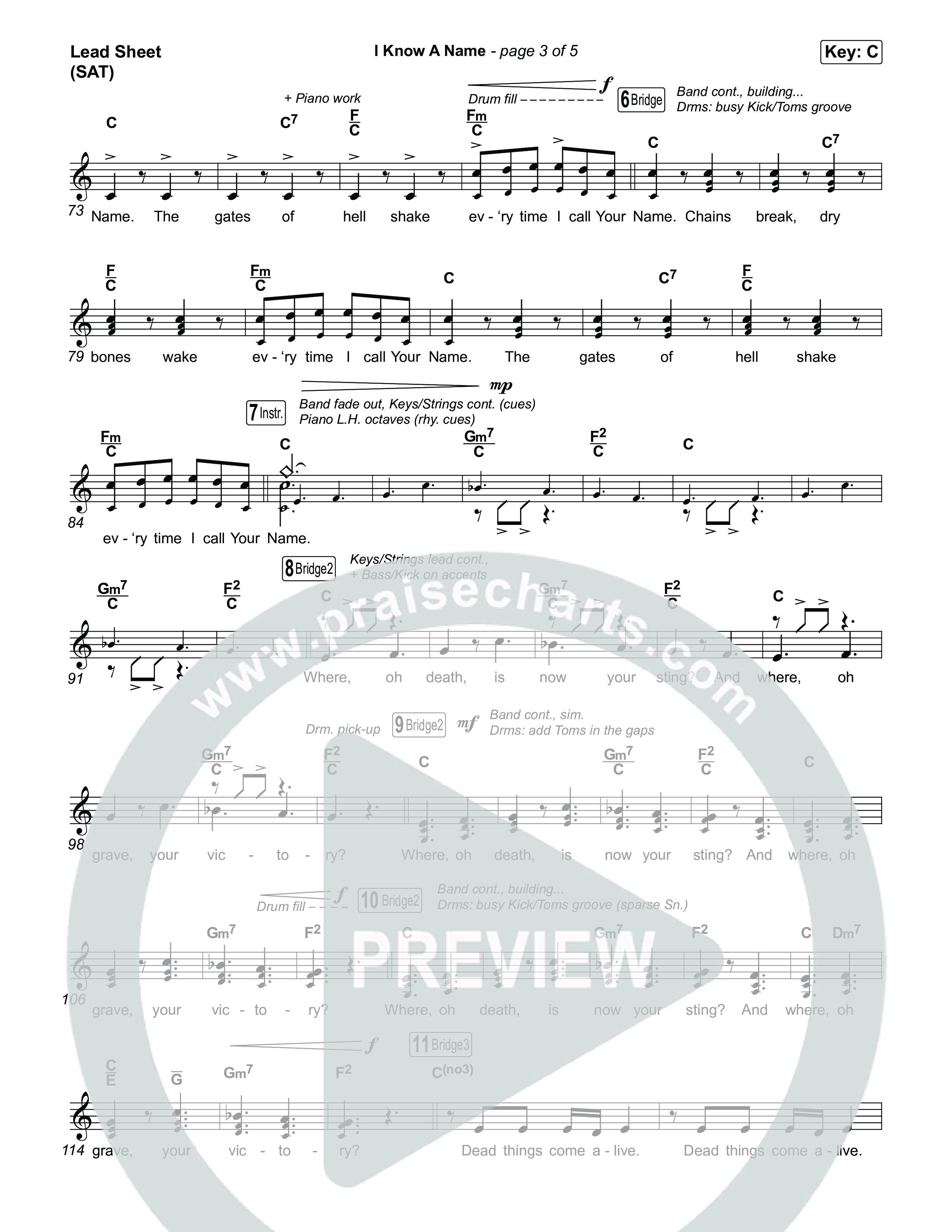 I Know A Name (Choral/SATB) Lead Sheet (SAT) (Travis Cottrell / Arr. Mason Brown)