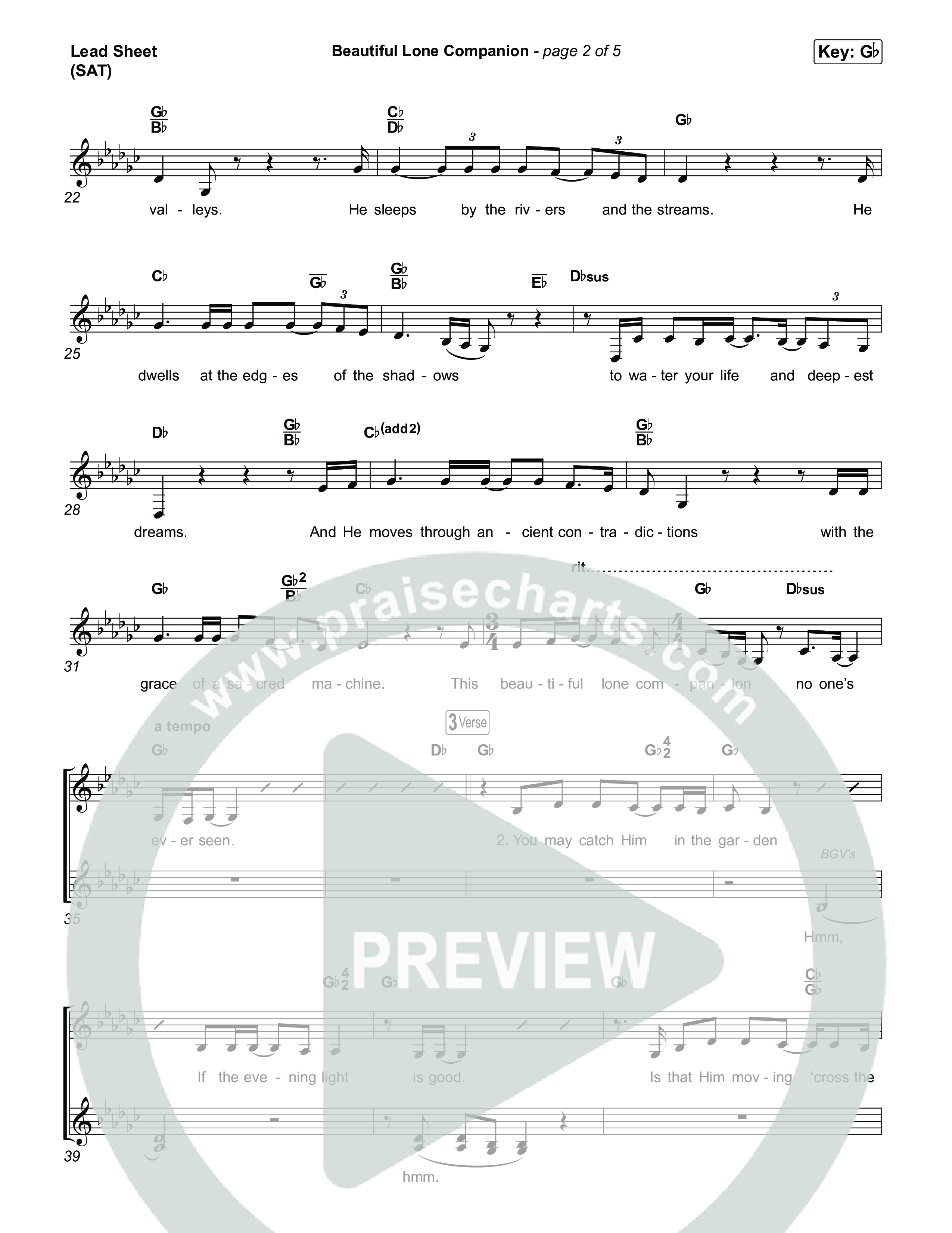 Beautiful Lone Companion Lead Sheet (SAT) (Amy Grant)