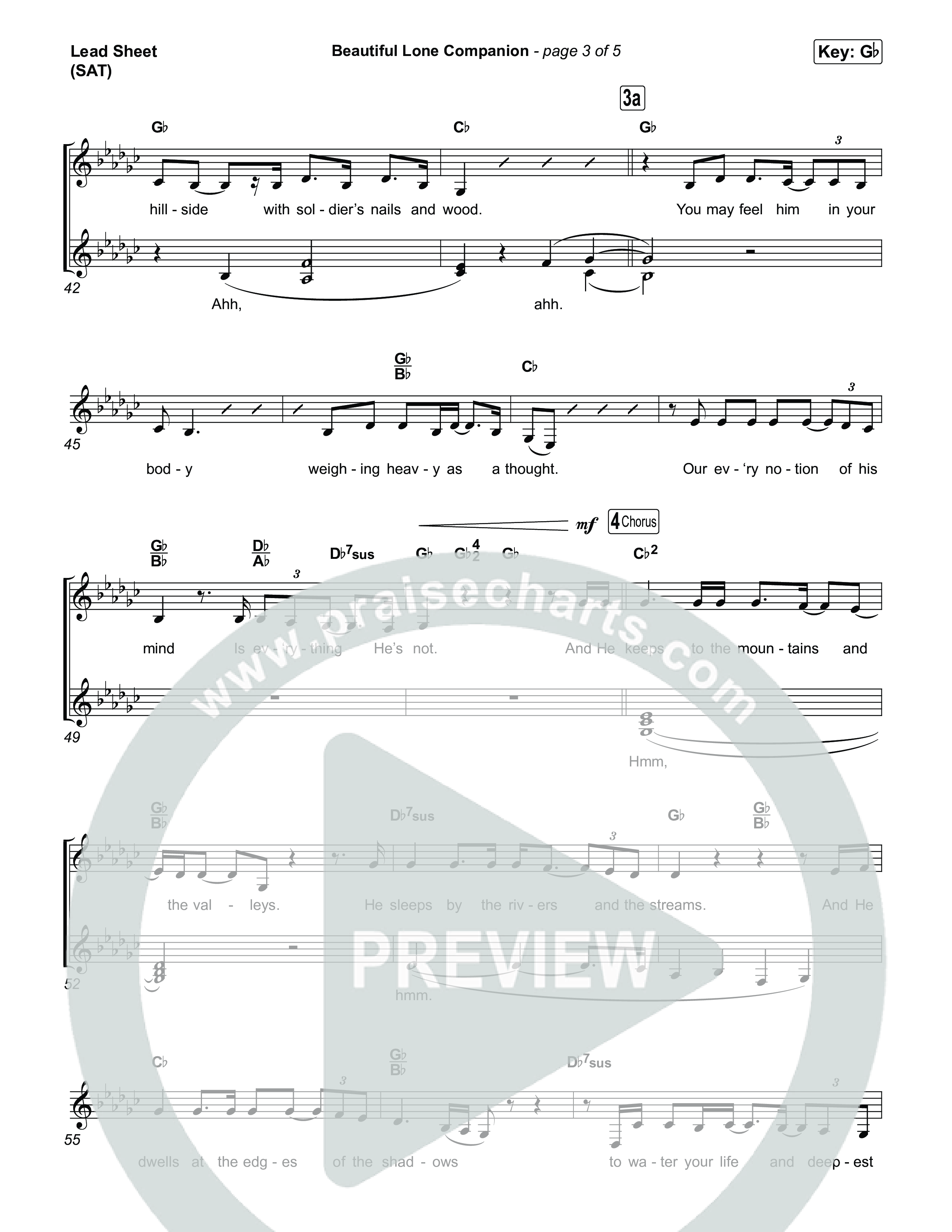 Beautiful Lone Companion Lead Sheet (SAT) (Amy Grant)