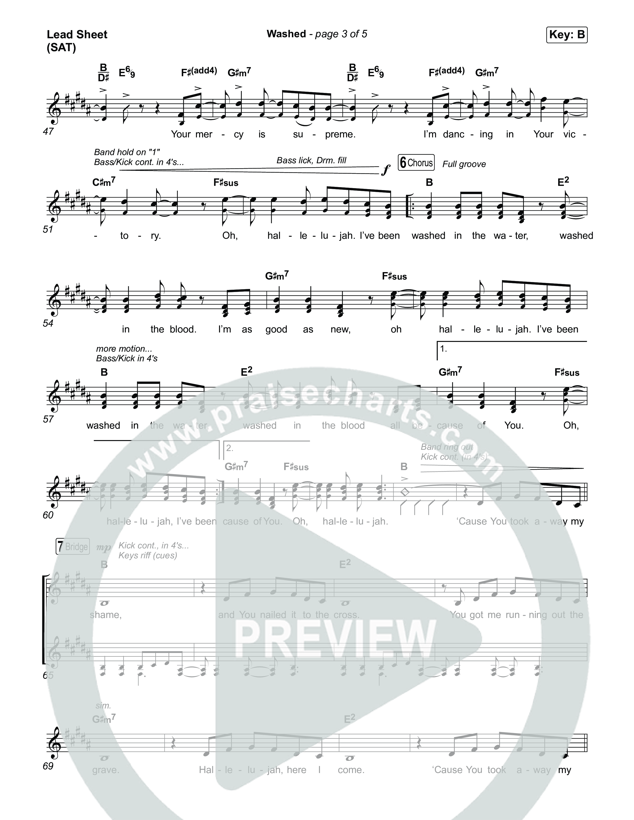 Washed Lead Sheet (SAT) (ELEVATION RHYTHM)