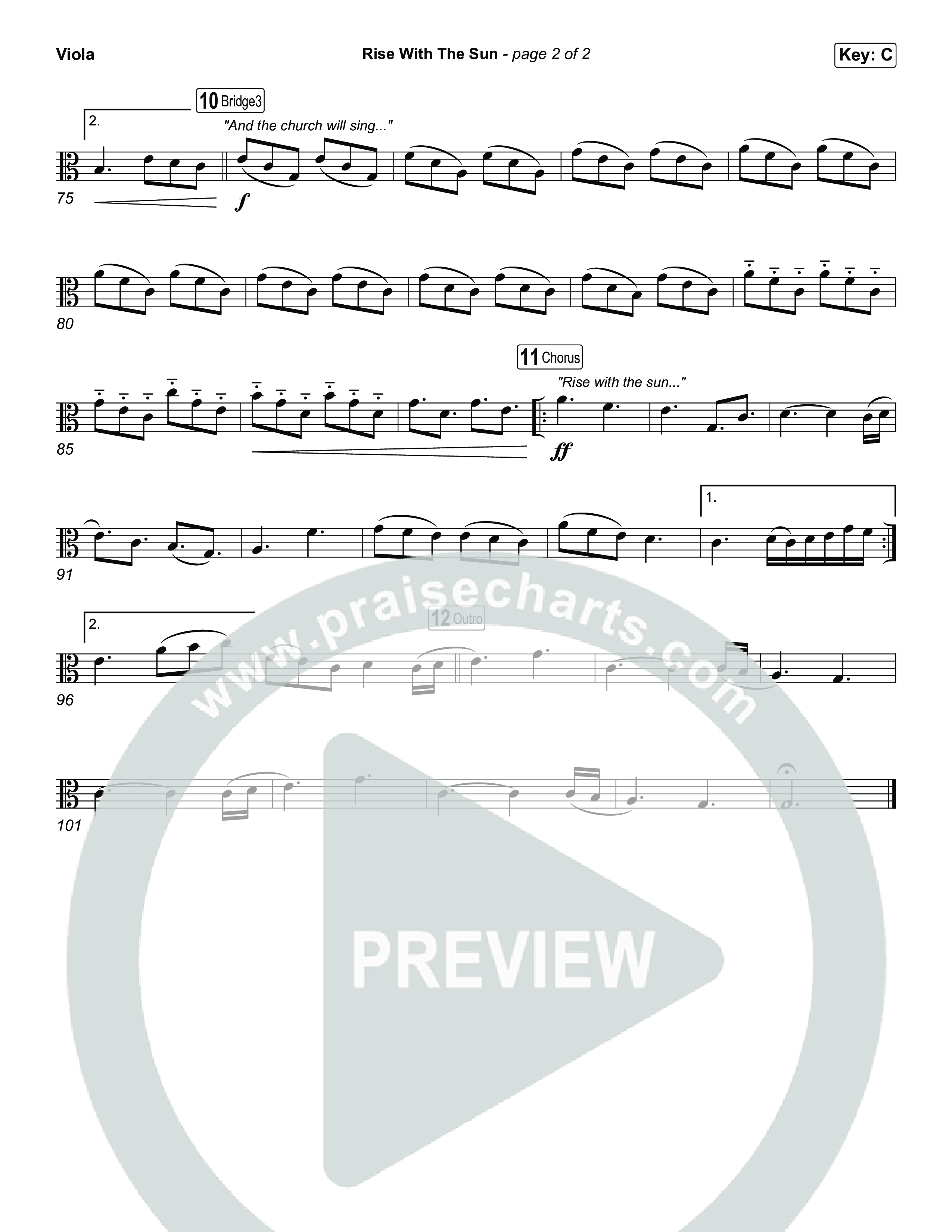 Rise With The Sun Viola (CityAlight)