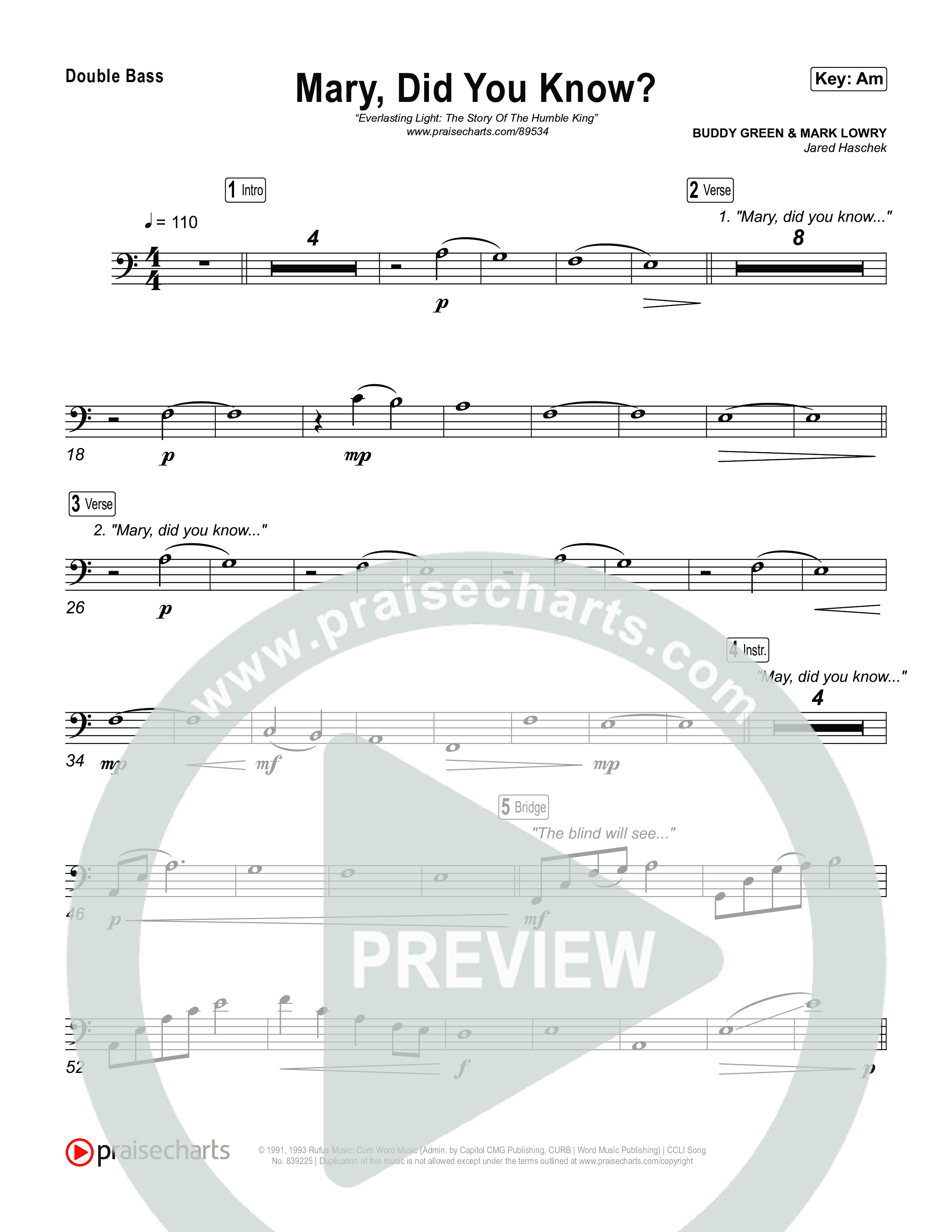 Mary Did You Know String Bass (Museum Of The Bible)