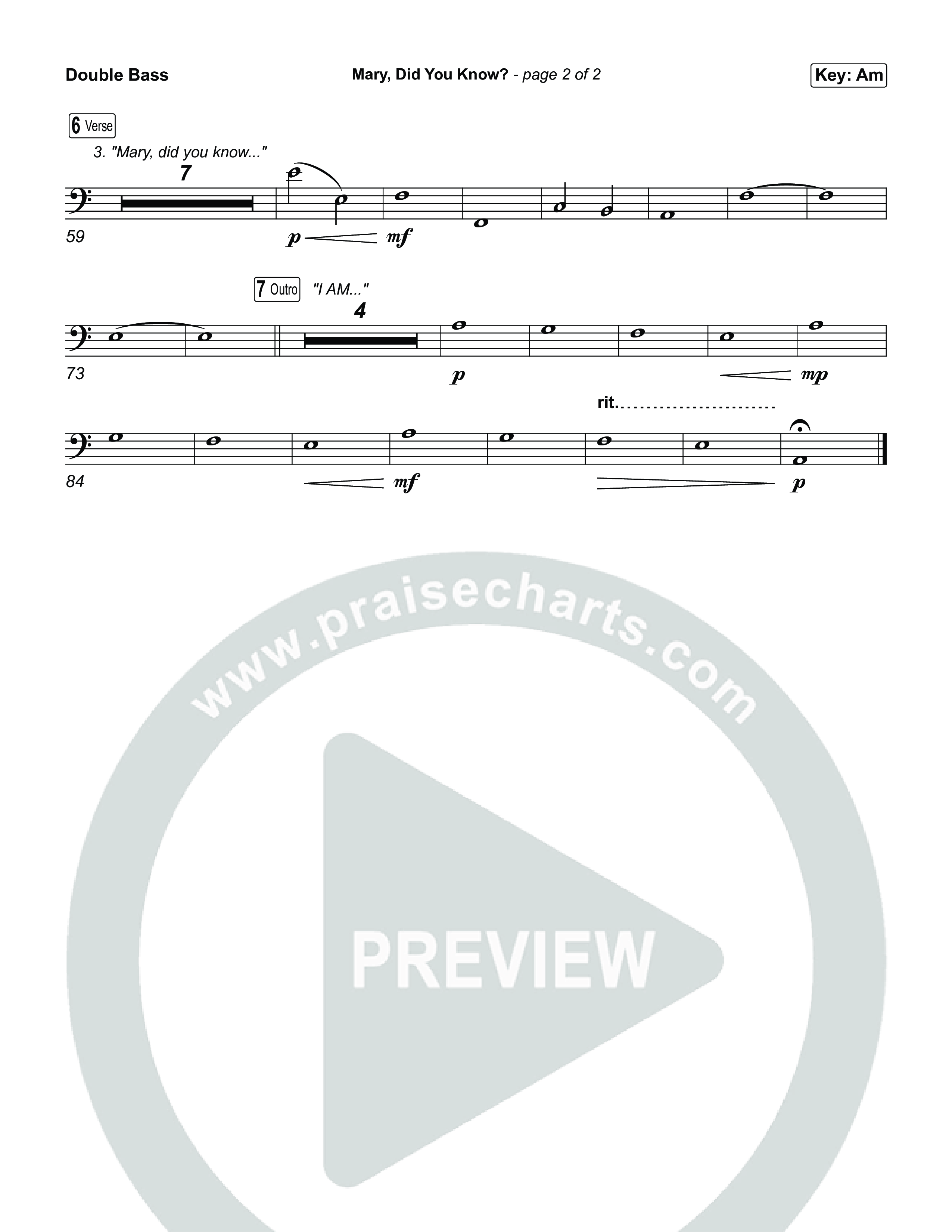 Mary Did You Know String Bass (Museum Of The Bible)