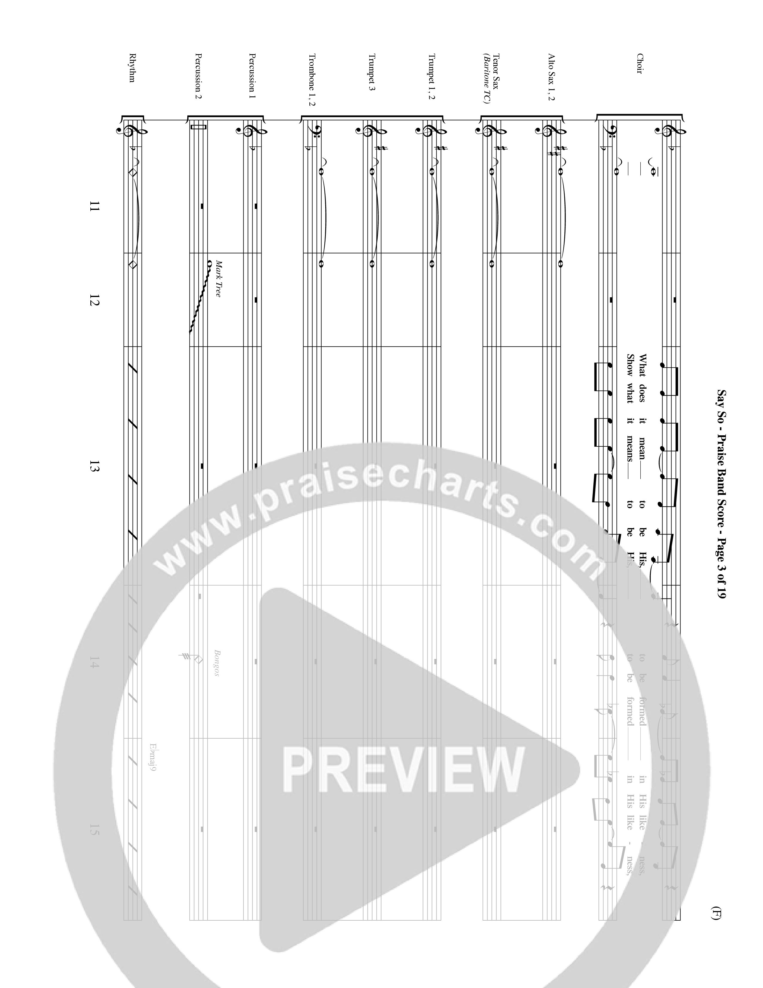 Say So (Choral Anthem SATB) PraiseBand (incl. Brass) (Word Music Choral / Arr. Dave Williamson)