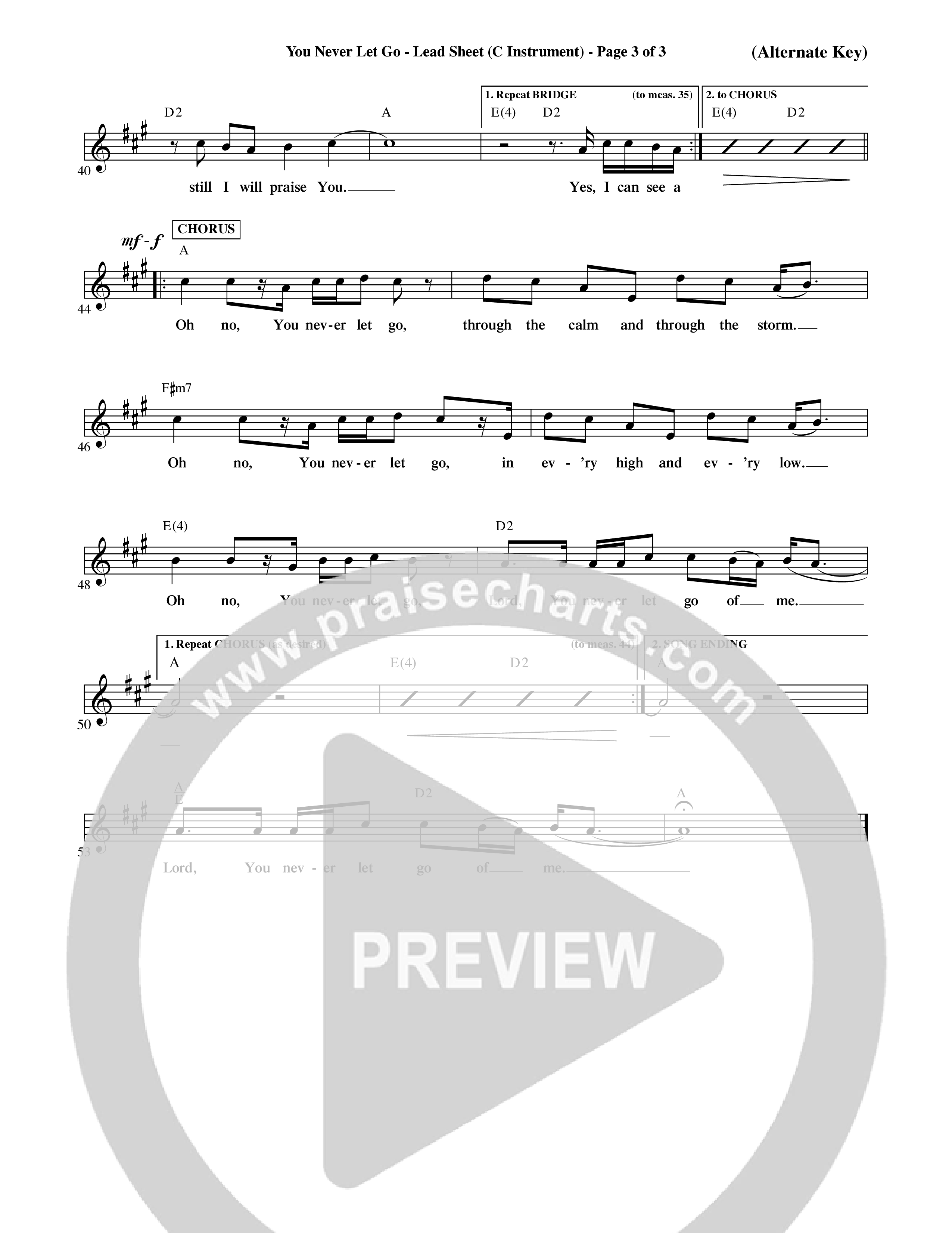 You Never Let Go (Choral Anthem SATB) Lead Sheet (Mel) (Orch. Dave Williamson / Orch. David Shipps)