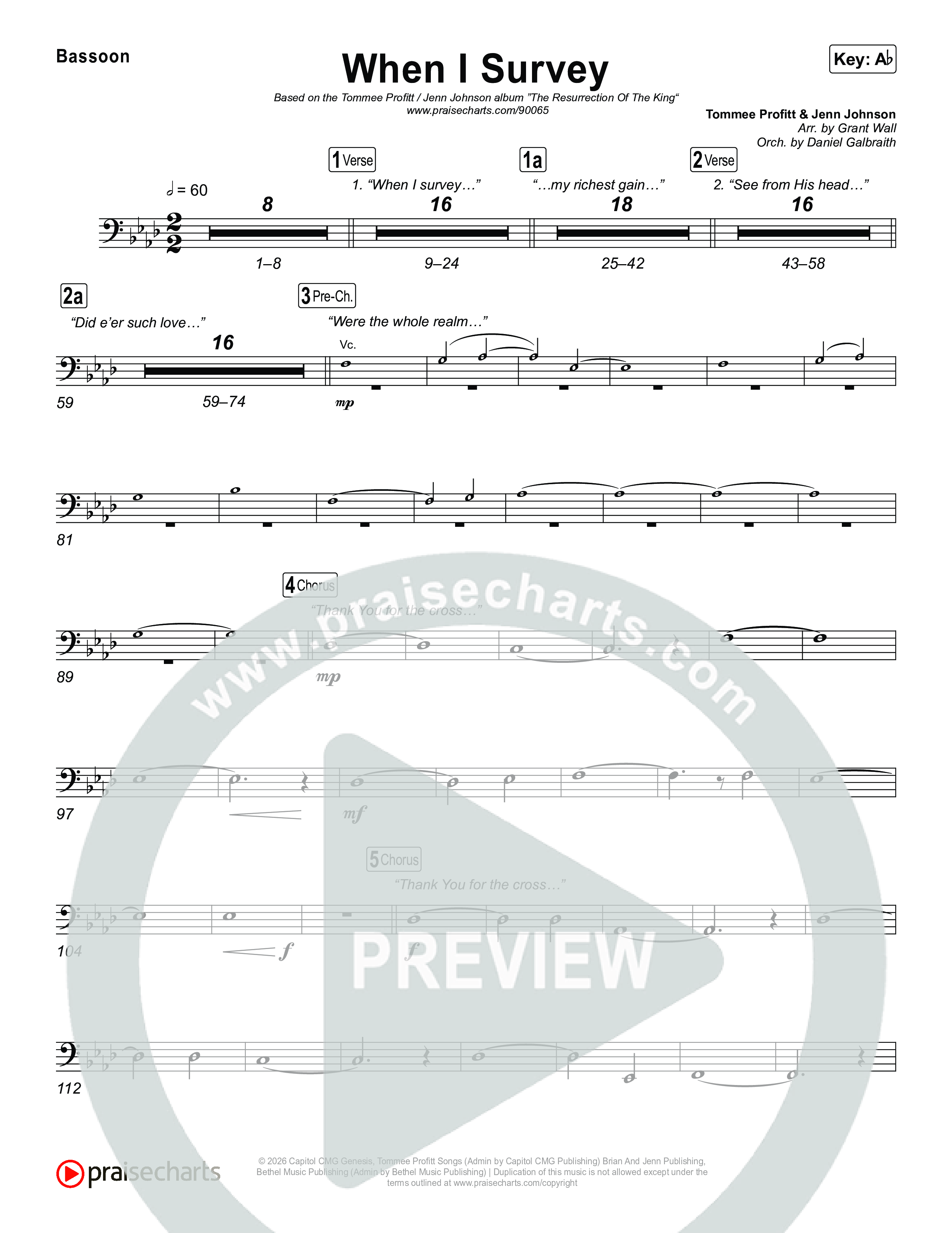 When I Survey Bassoon (Tommee Profitt / Jenn Johnson)