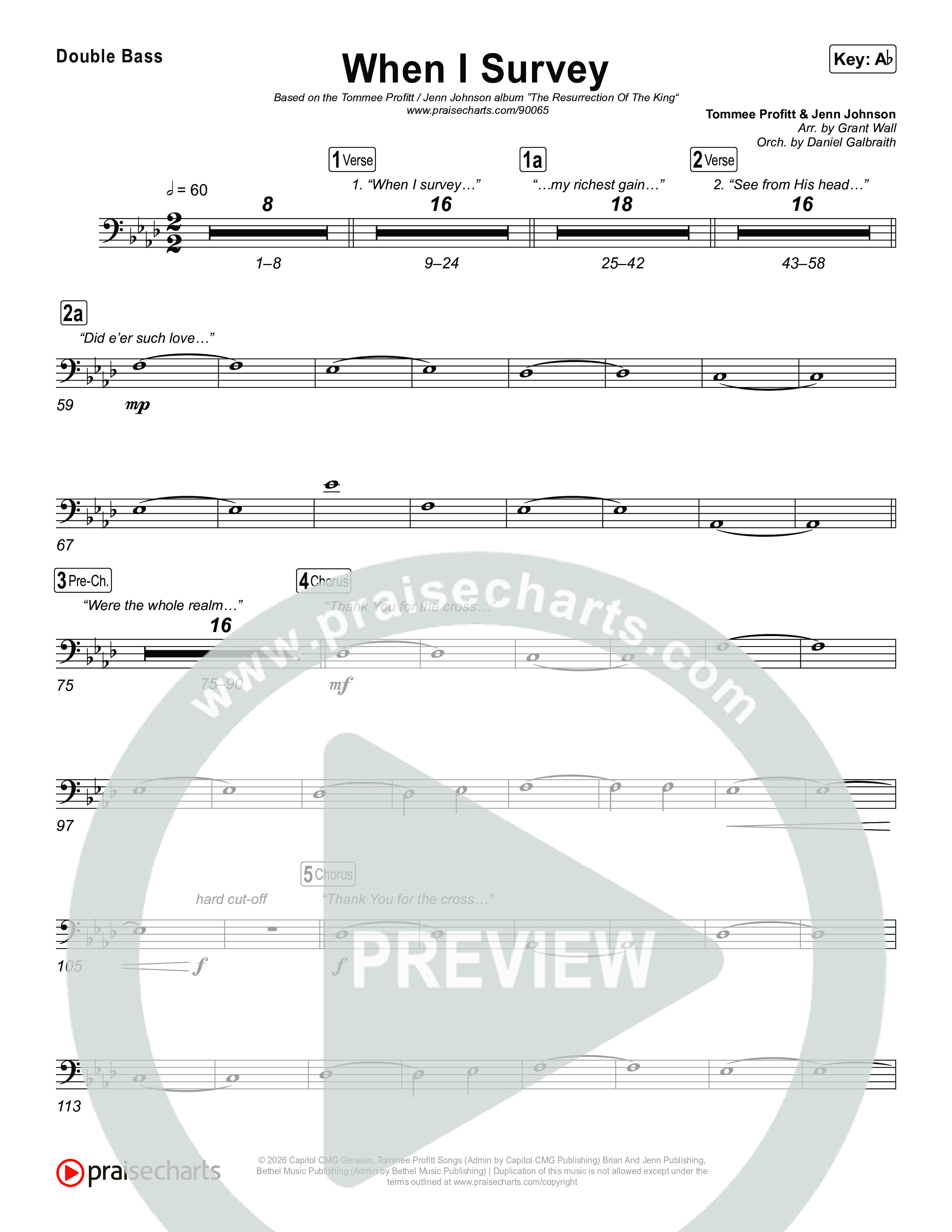 When I Survey String Bass (Tommee Profitt / Jenn Johnson)