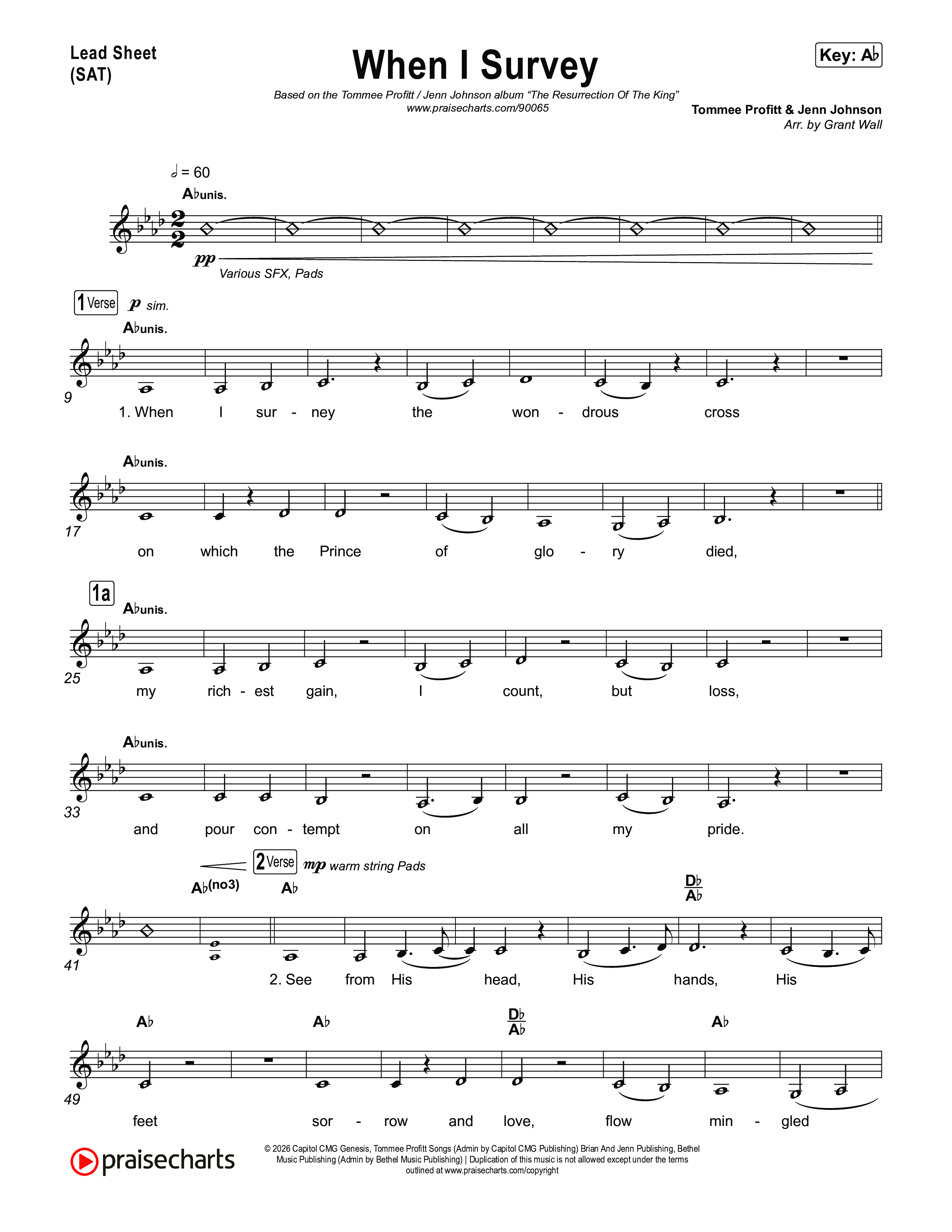 When I Survey Lead Sheet (SAT) (Tommee Profitt / Jenn Johnson)