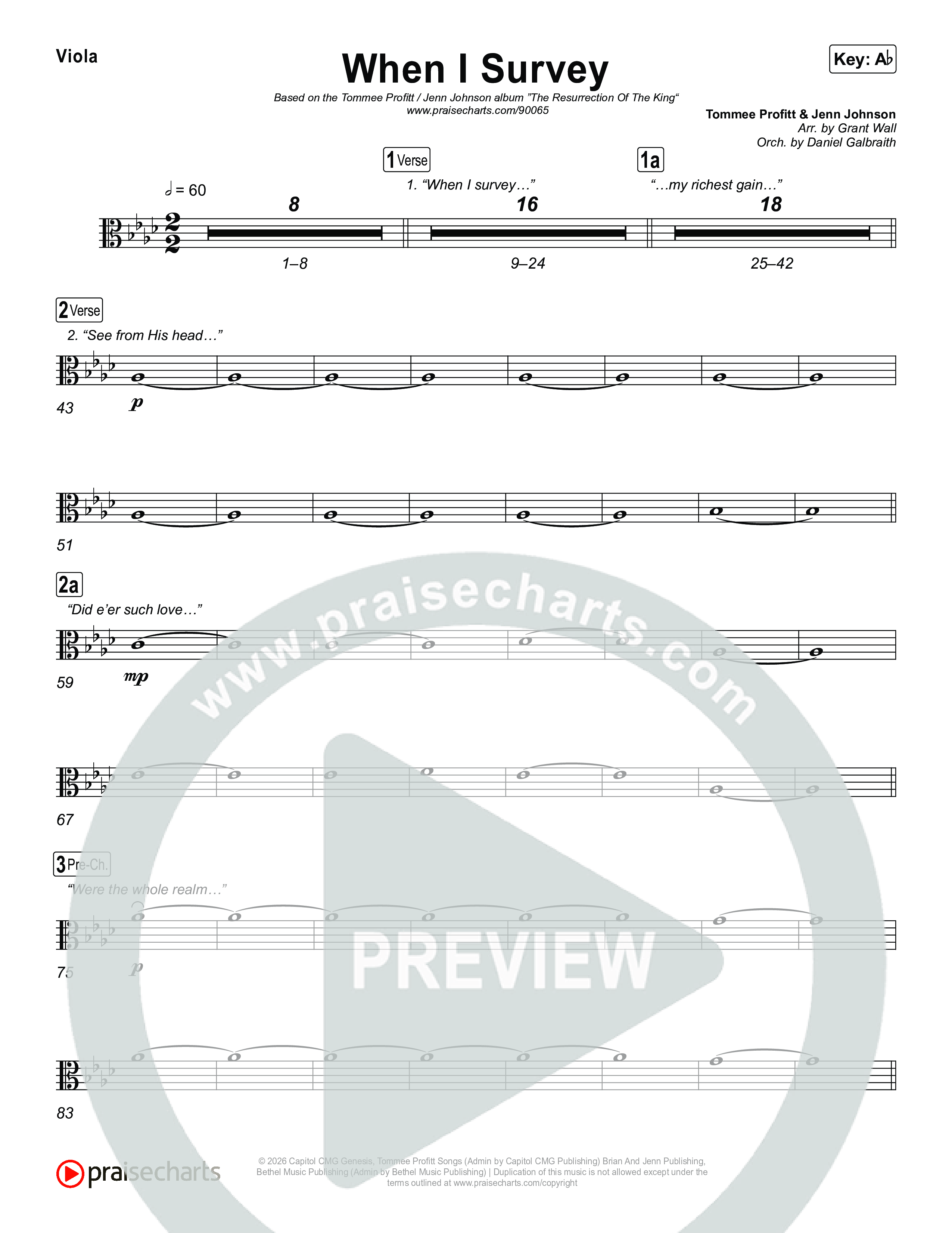 When I Survey Viola (Tommee Profitt / Jenn Johnson)